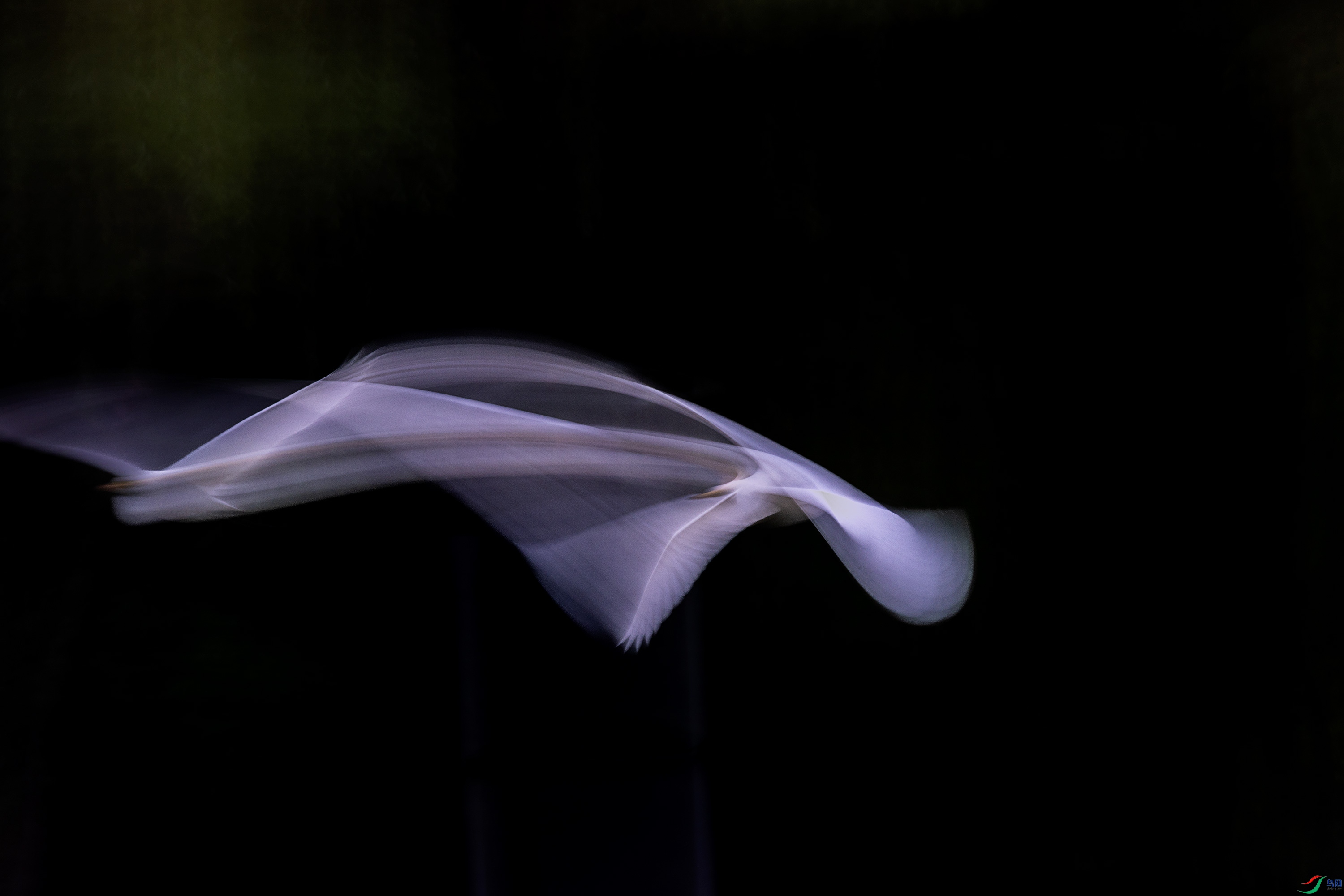 278A1118.jpg