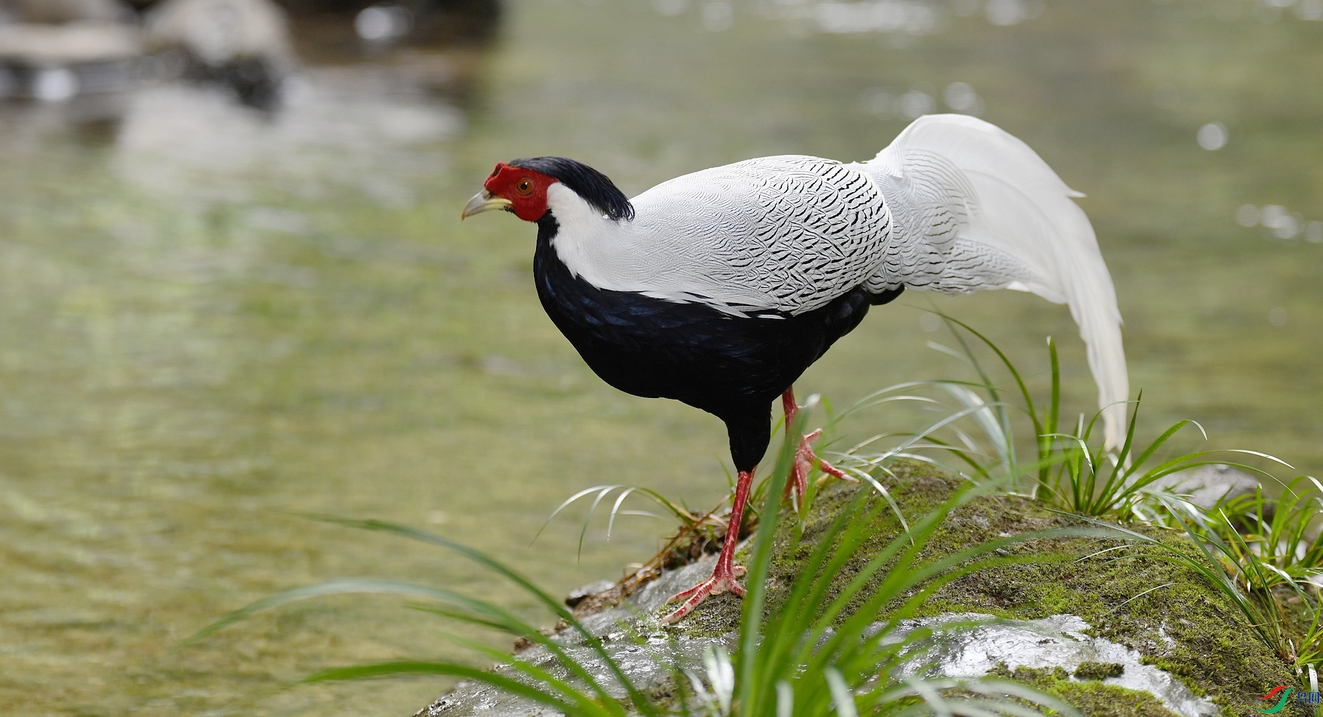 DSC_7336.jpg