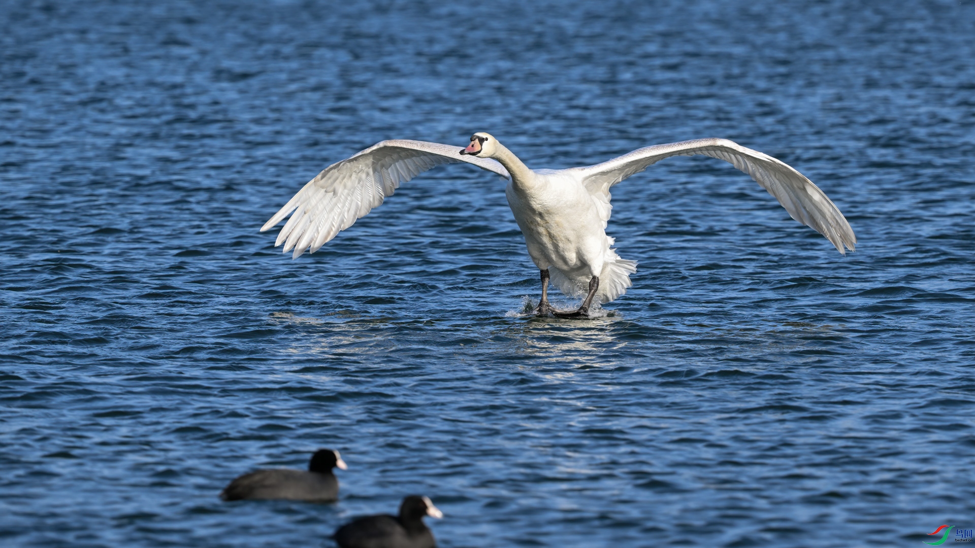 DSC_5159sen2025-2-12-14-�༭.jpg