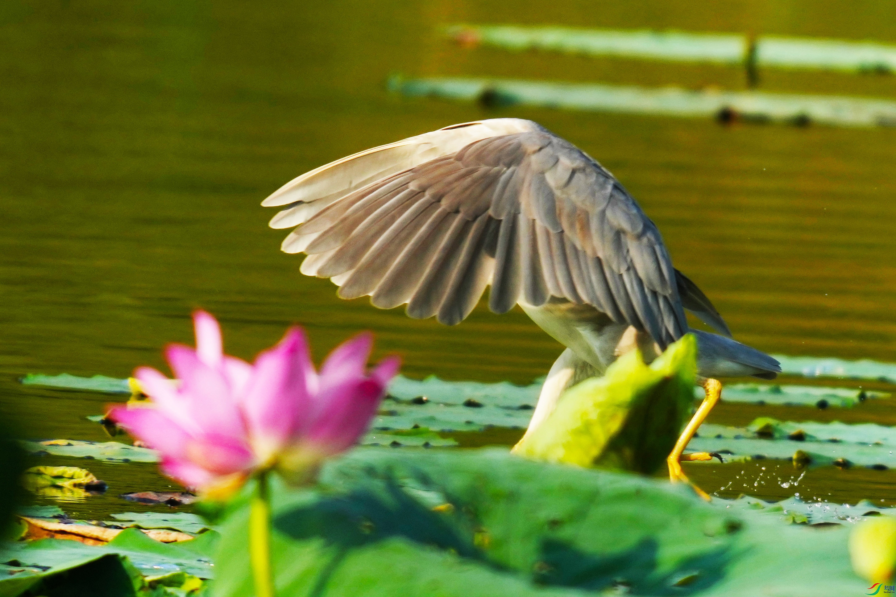 112DSC03208 ���� 2.jpg