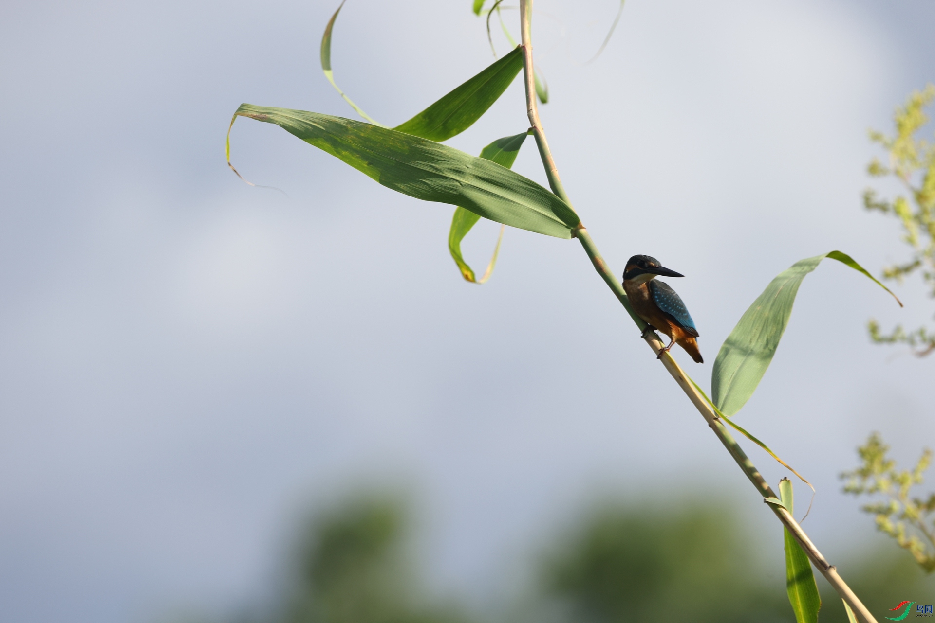 2F5A3911.JPG