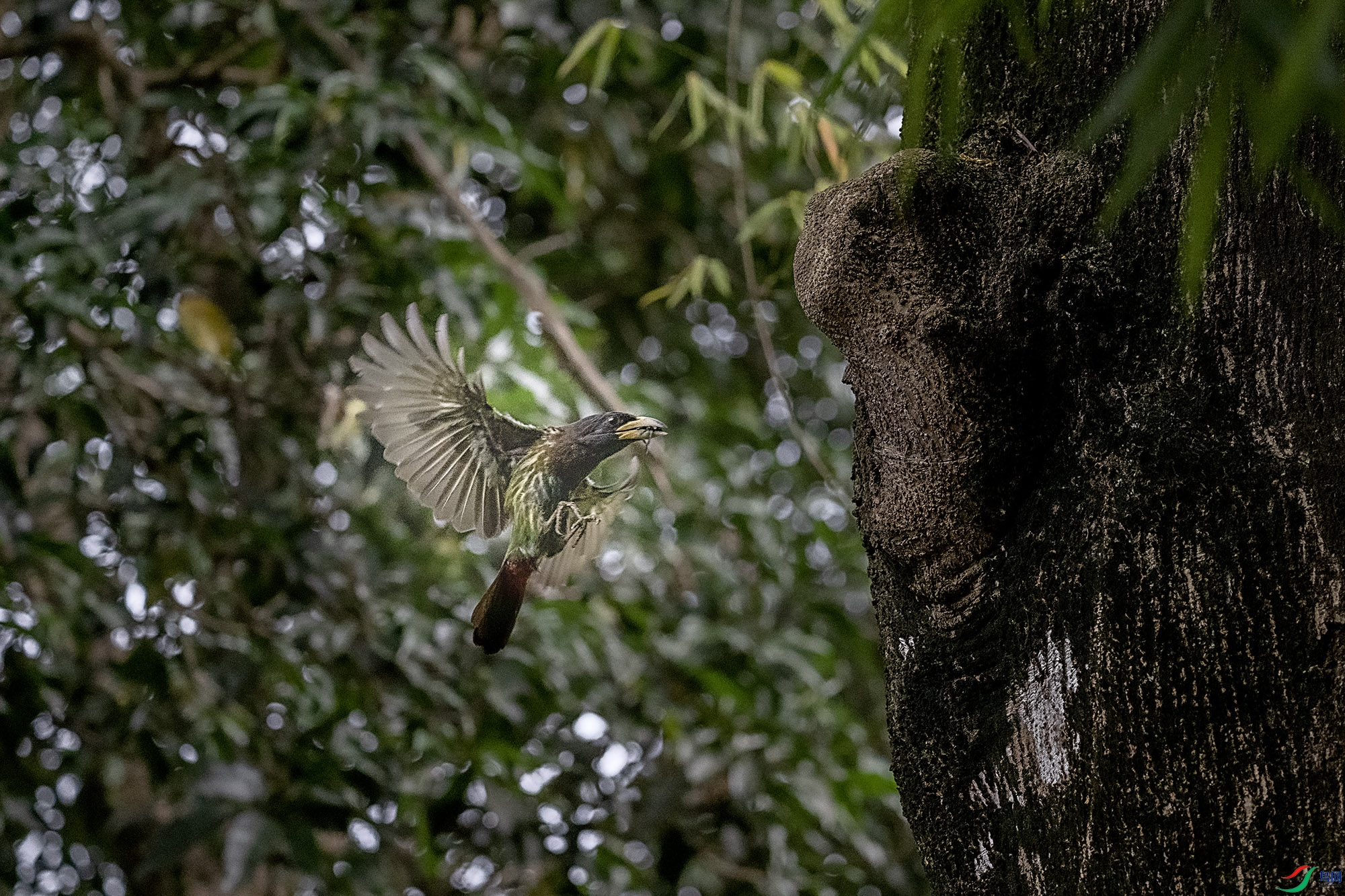 DSC_8783w.jpg