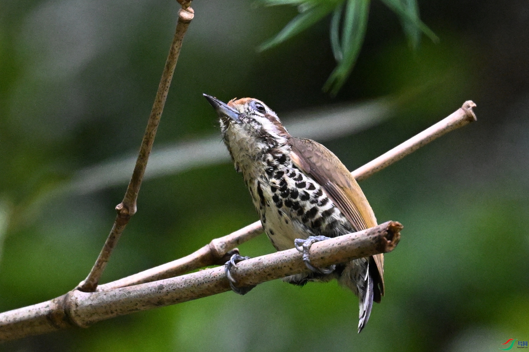 DSC_8650.JPG