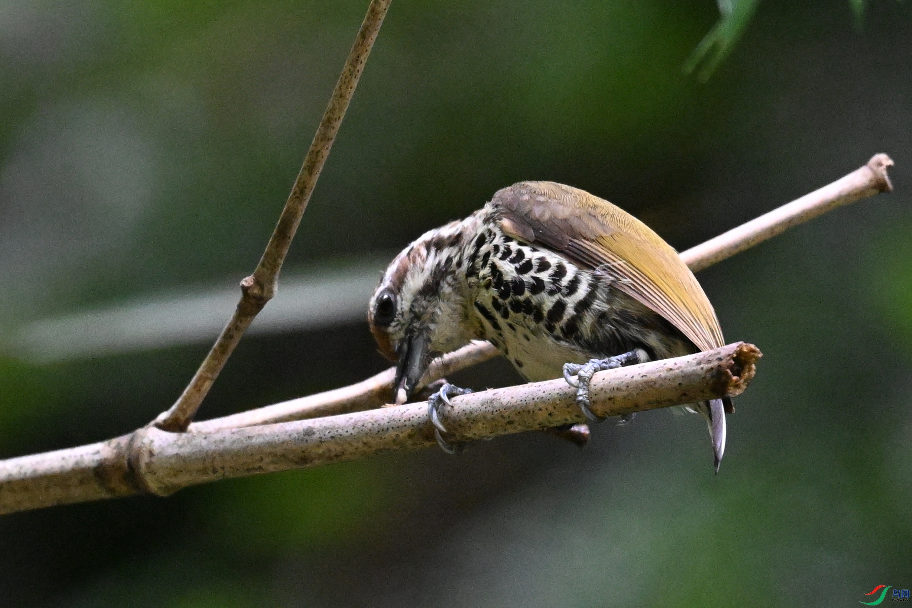 DSC_8672.JPG