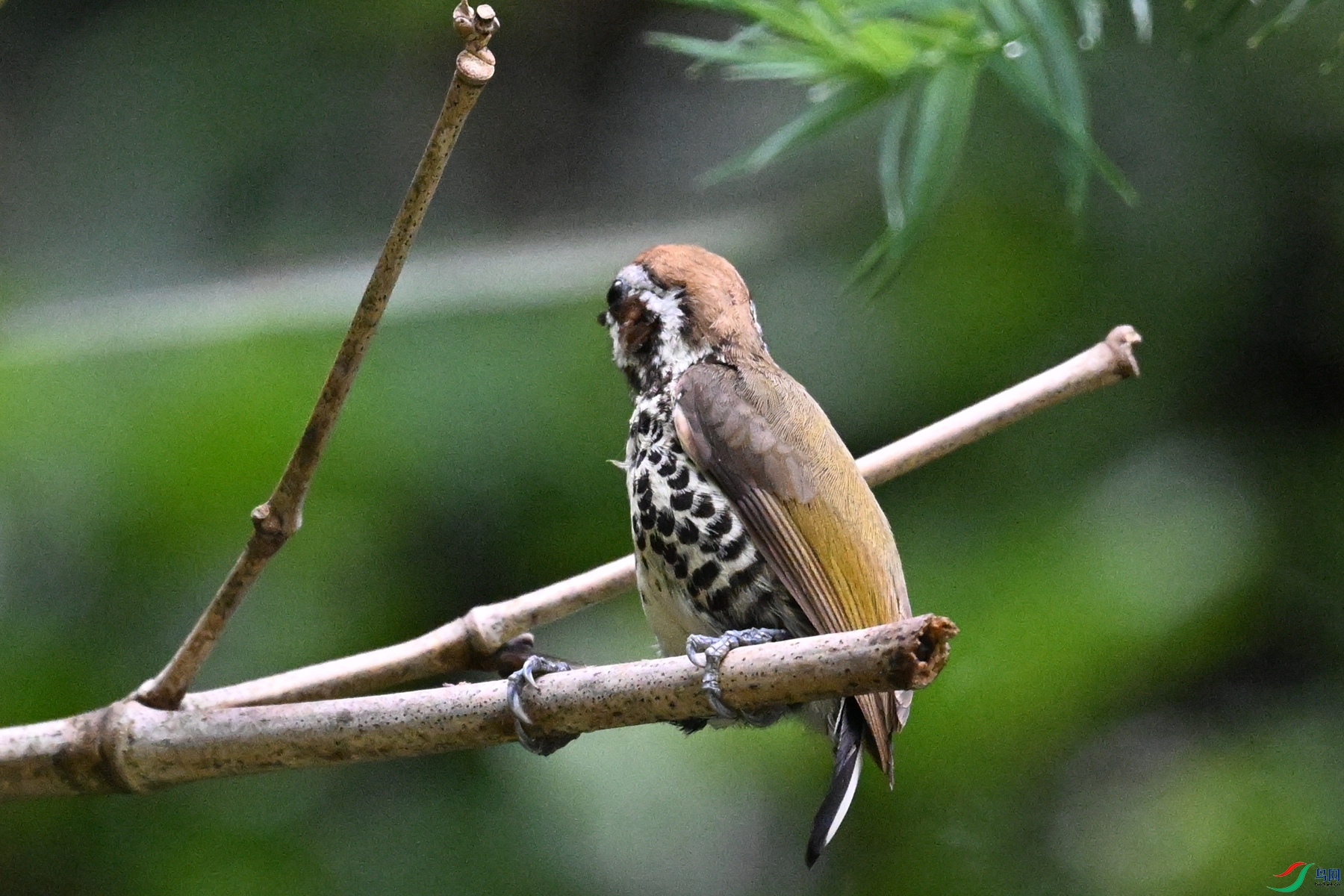 DSC_8659.JPG