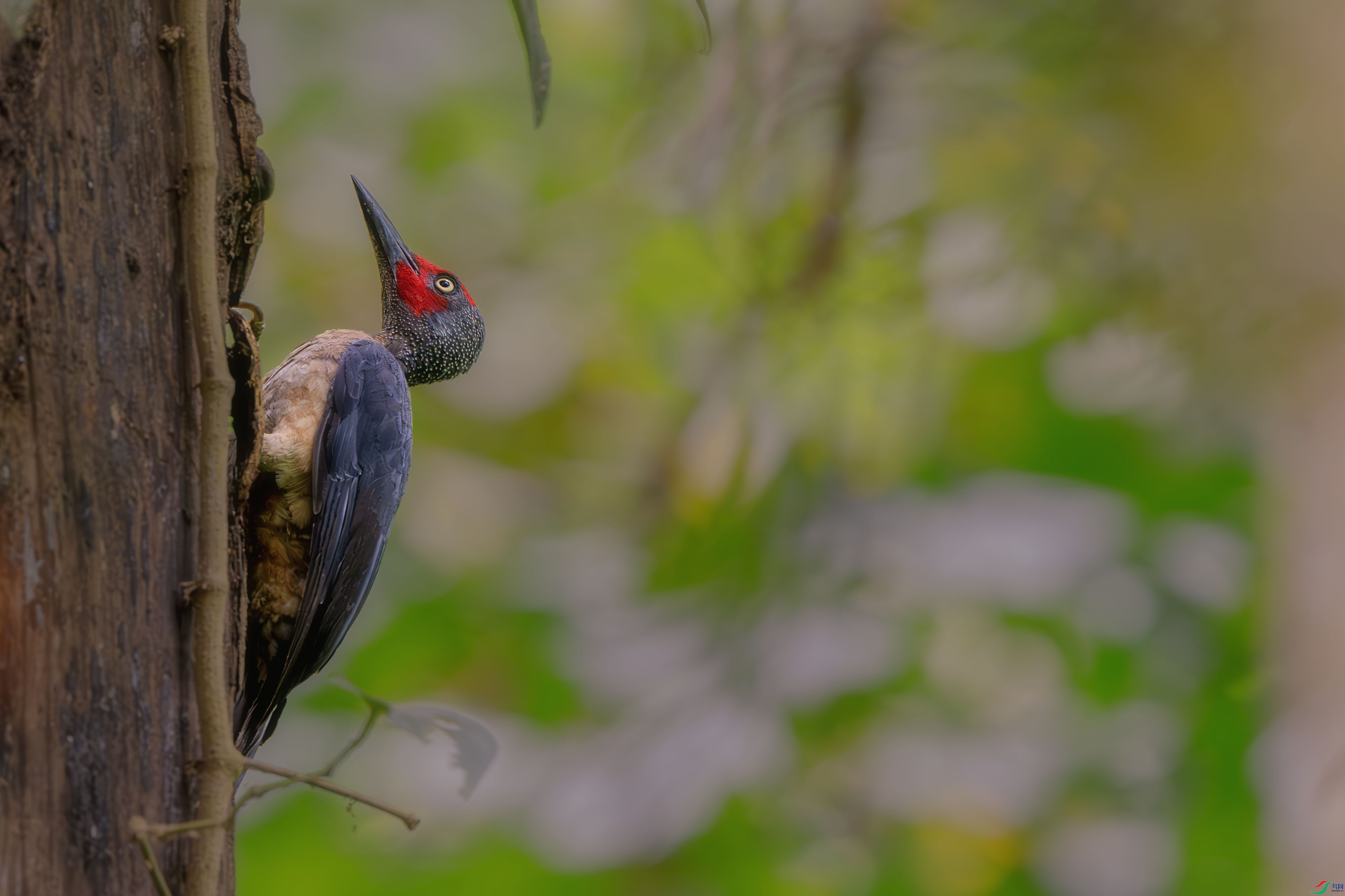 _DSC2146-����ǿ-NR ����1.jpg