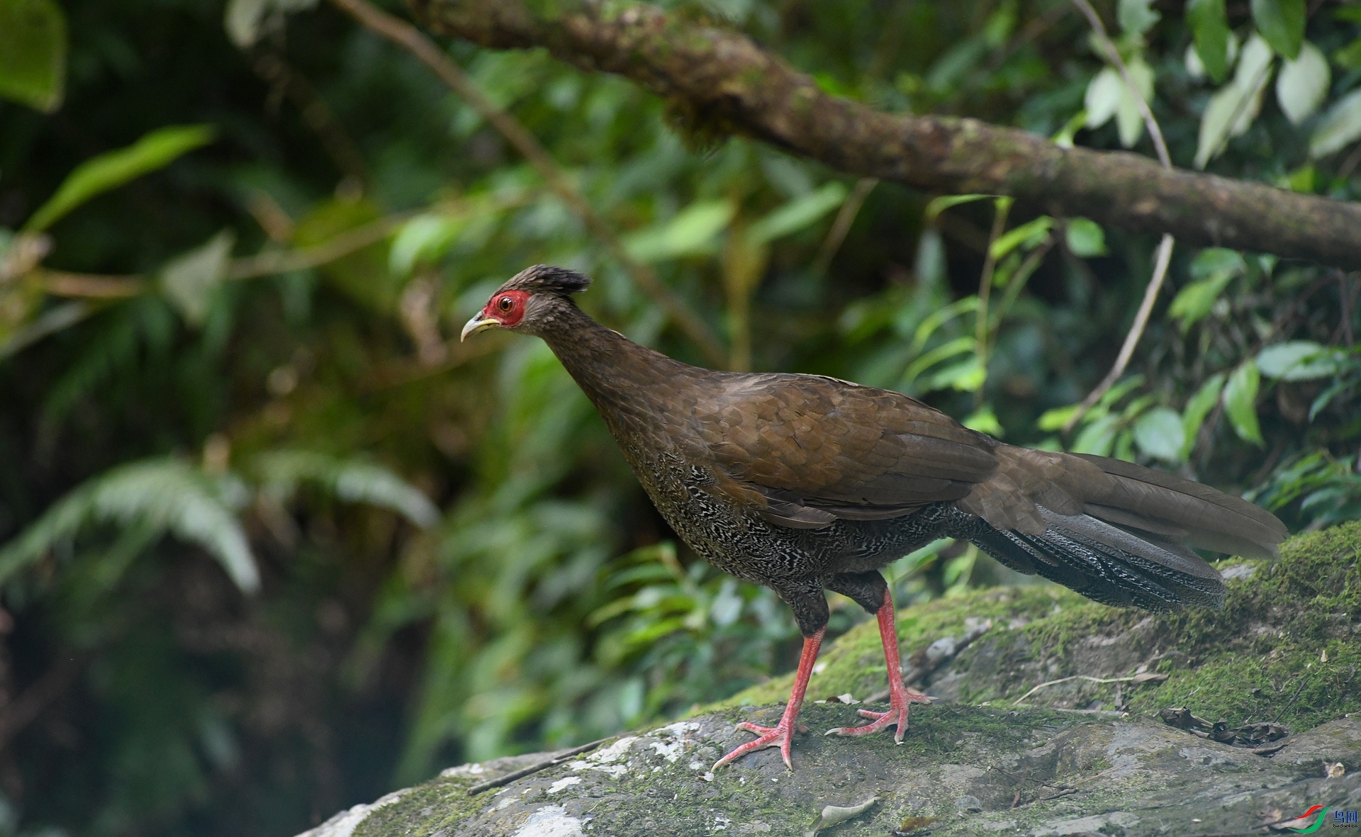 DSC_5543.jpg
