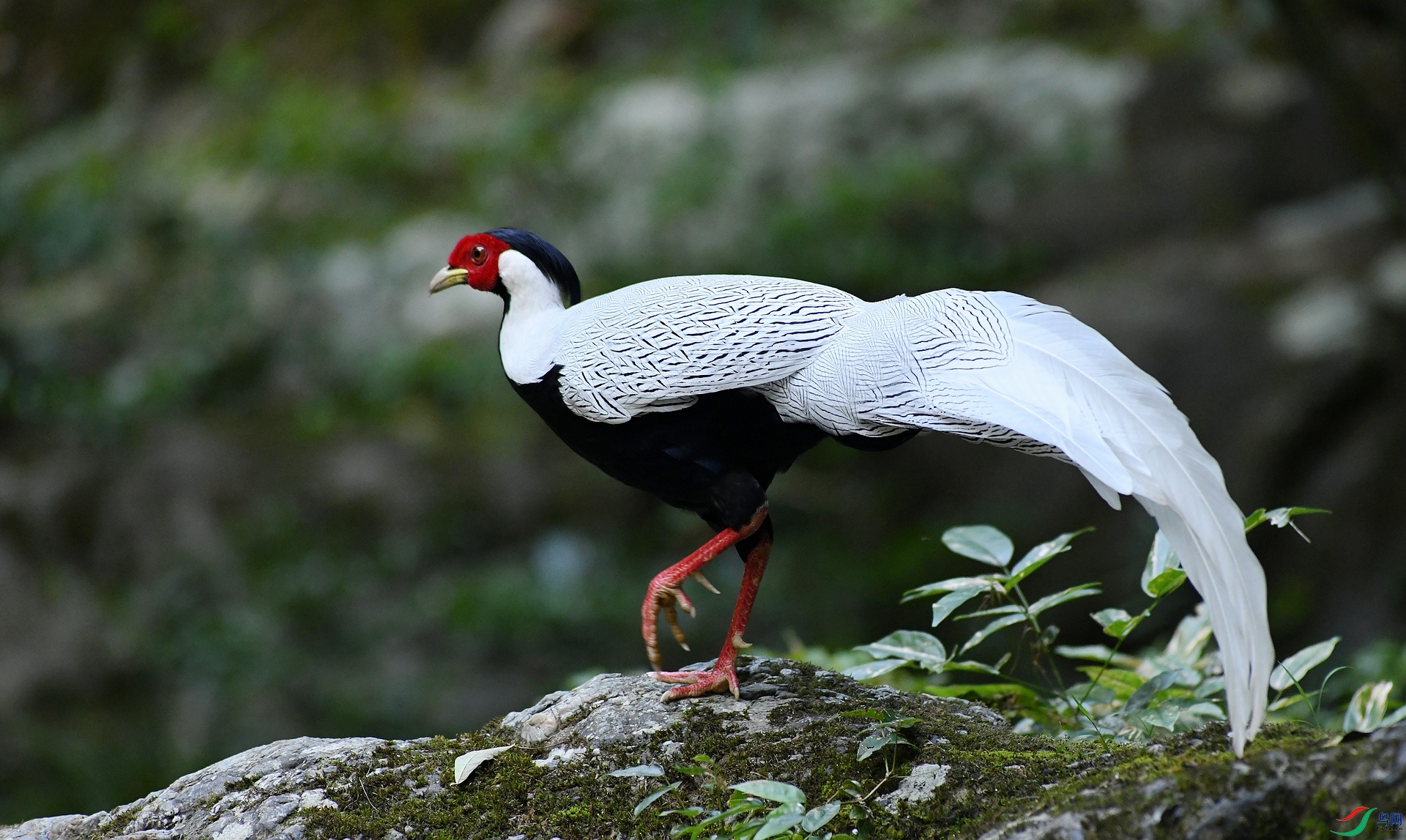DSC_6120.jpg