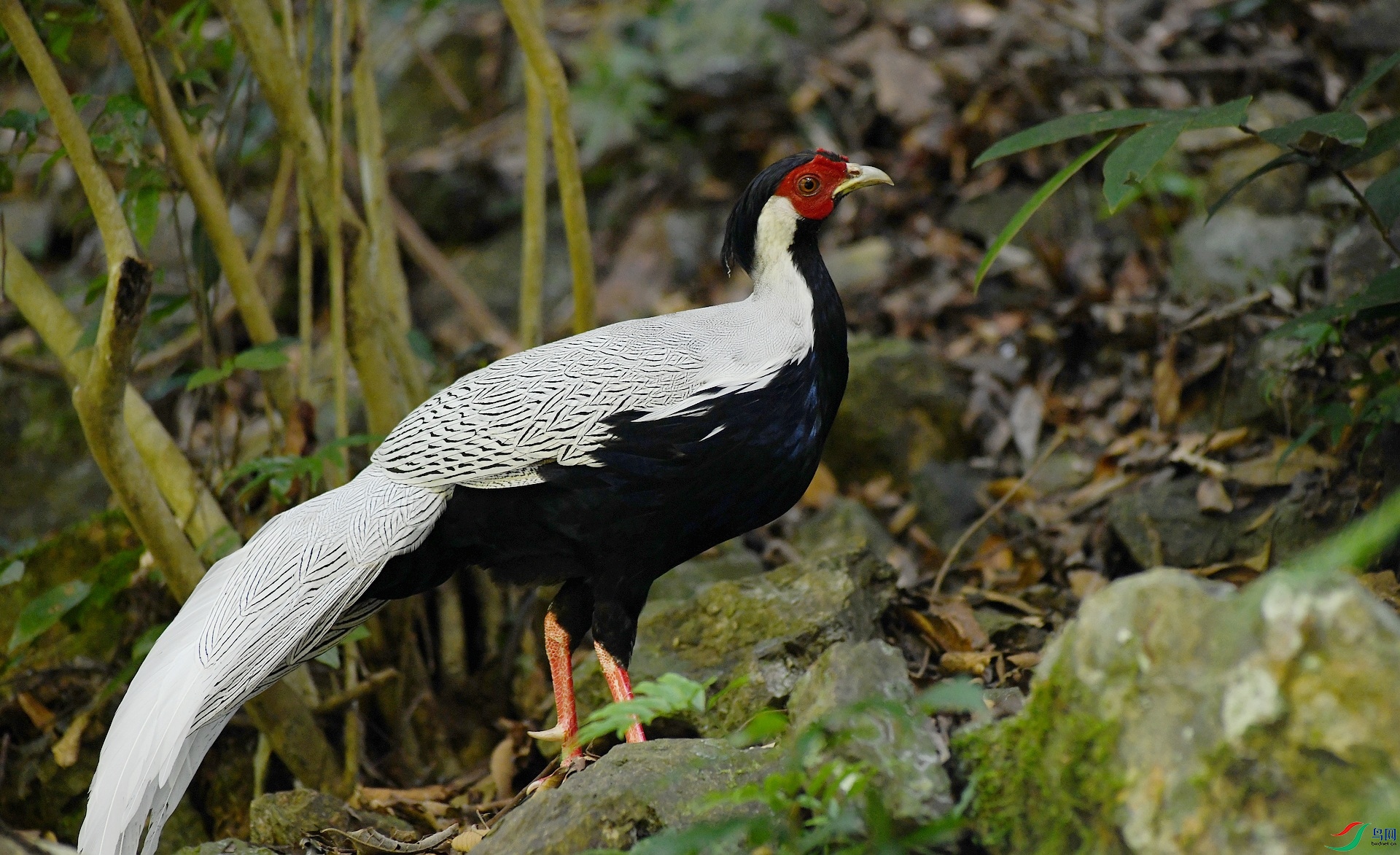 DSC_5750.jpg
