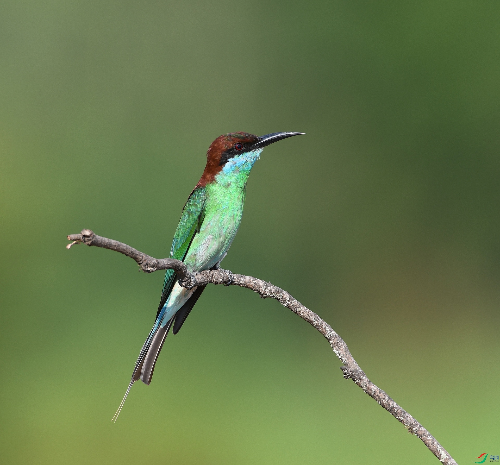 DSC_7169.jpg