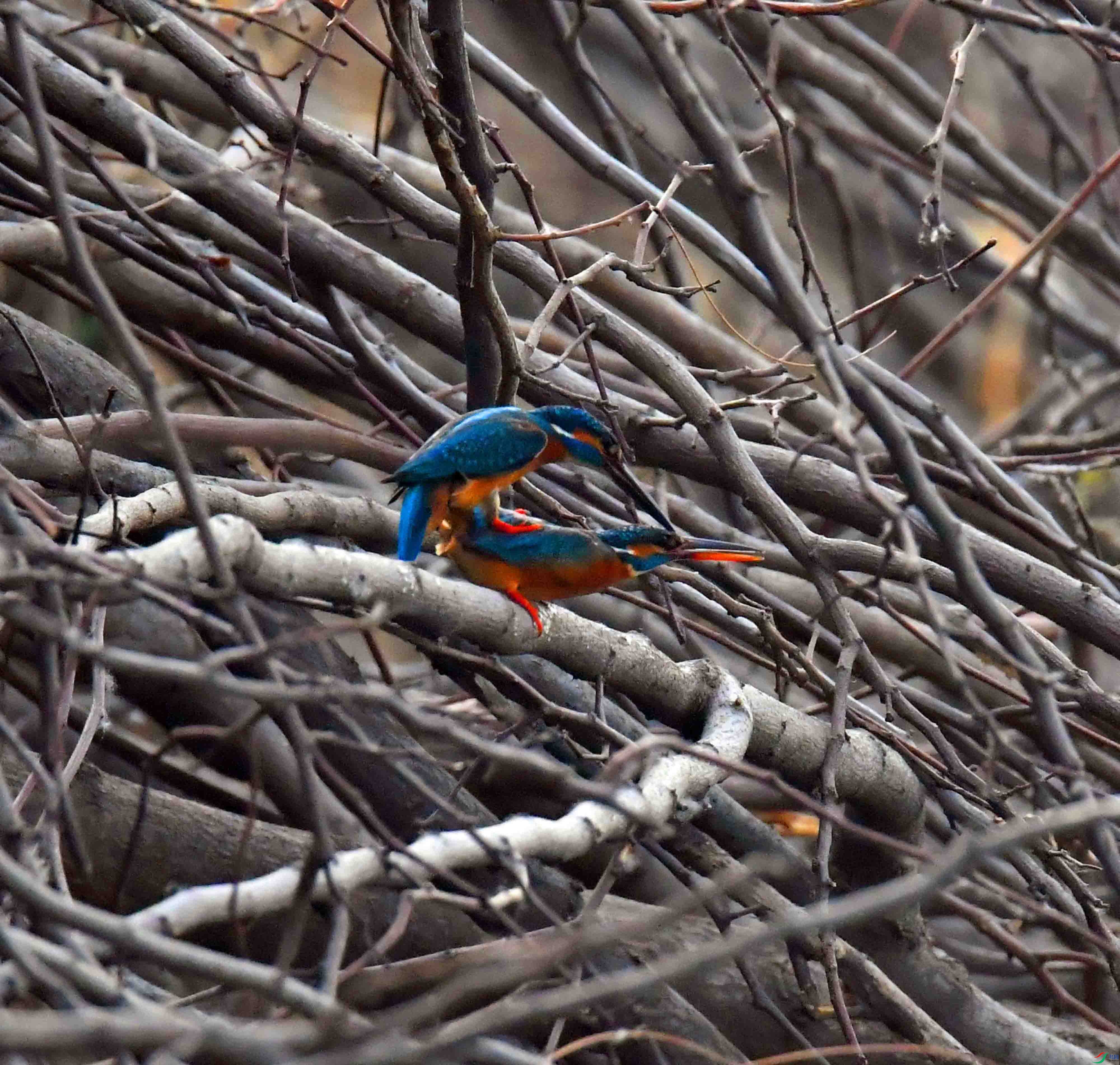 DSC_2190.JPG