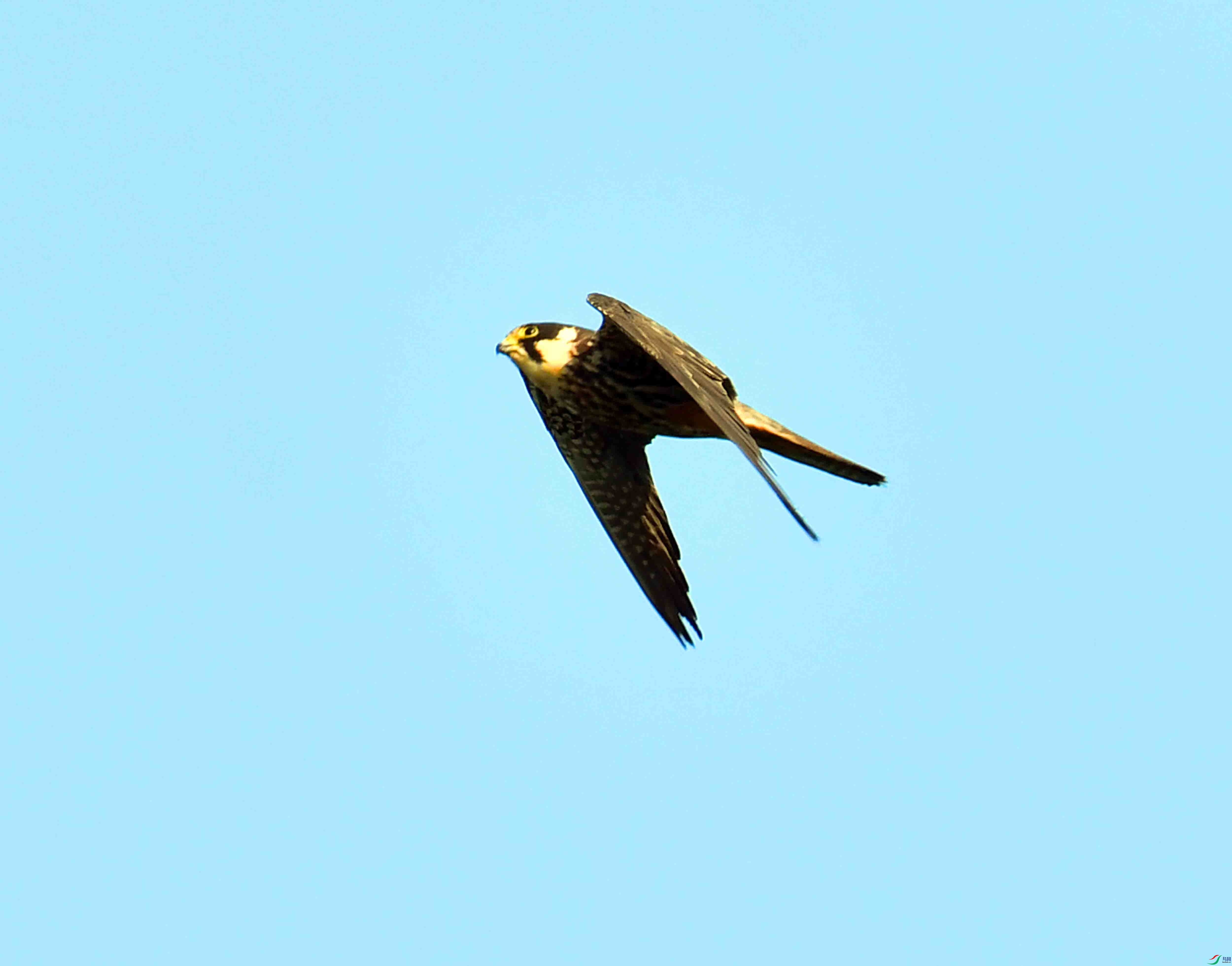 DSC_0186.JPG