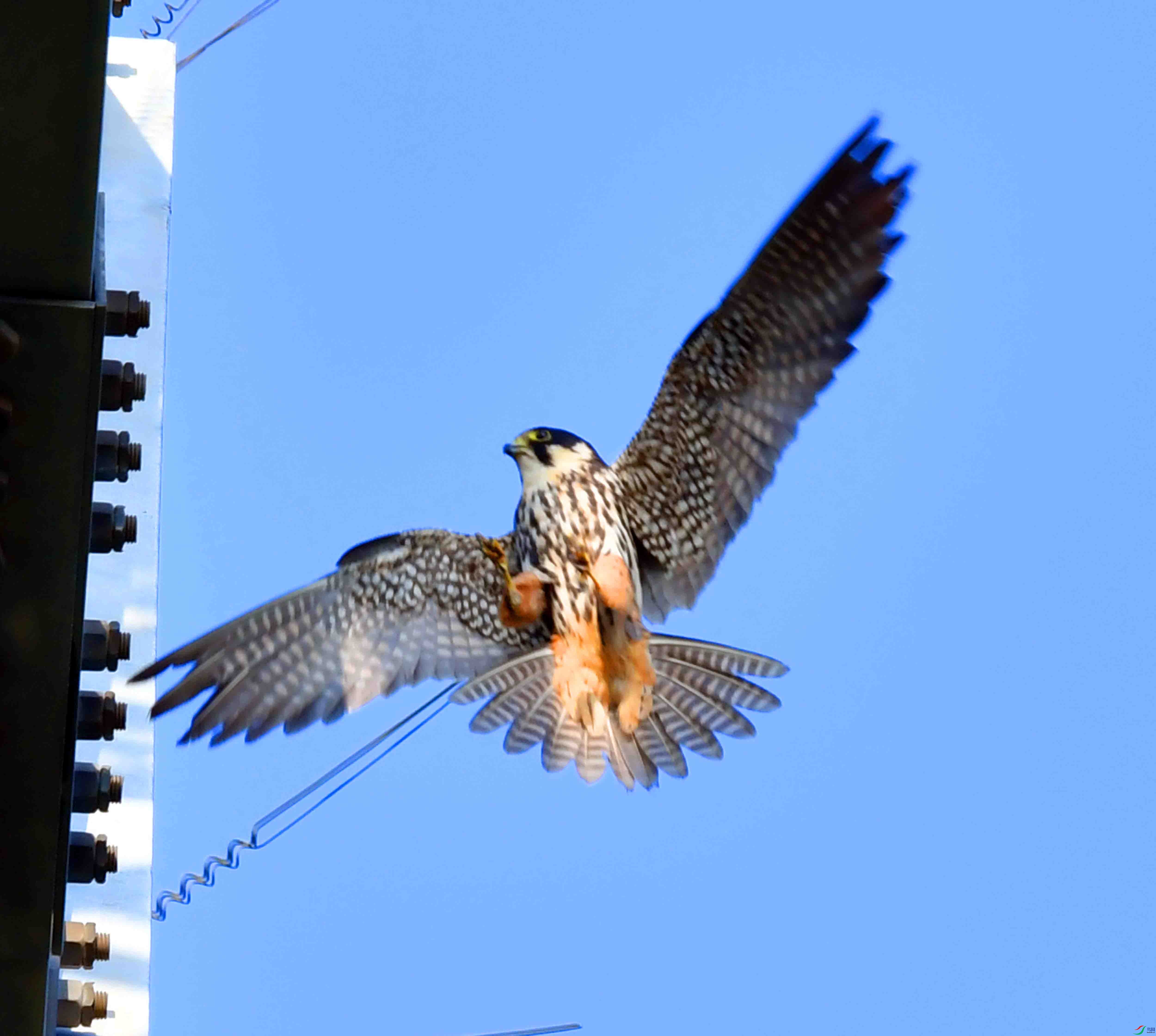 DSC_0198.JPG