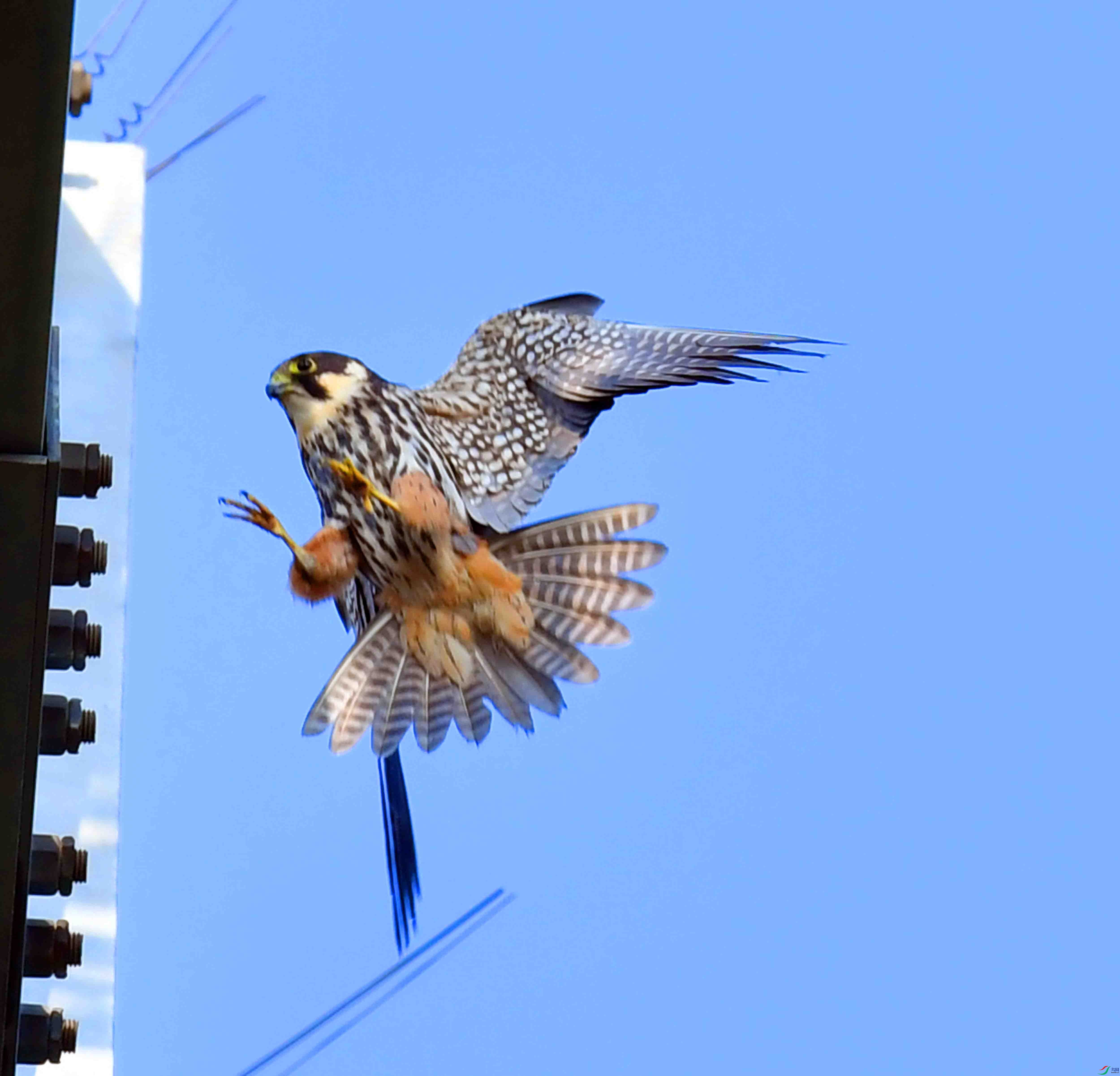 DSC_0199.JPG