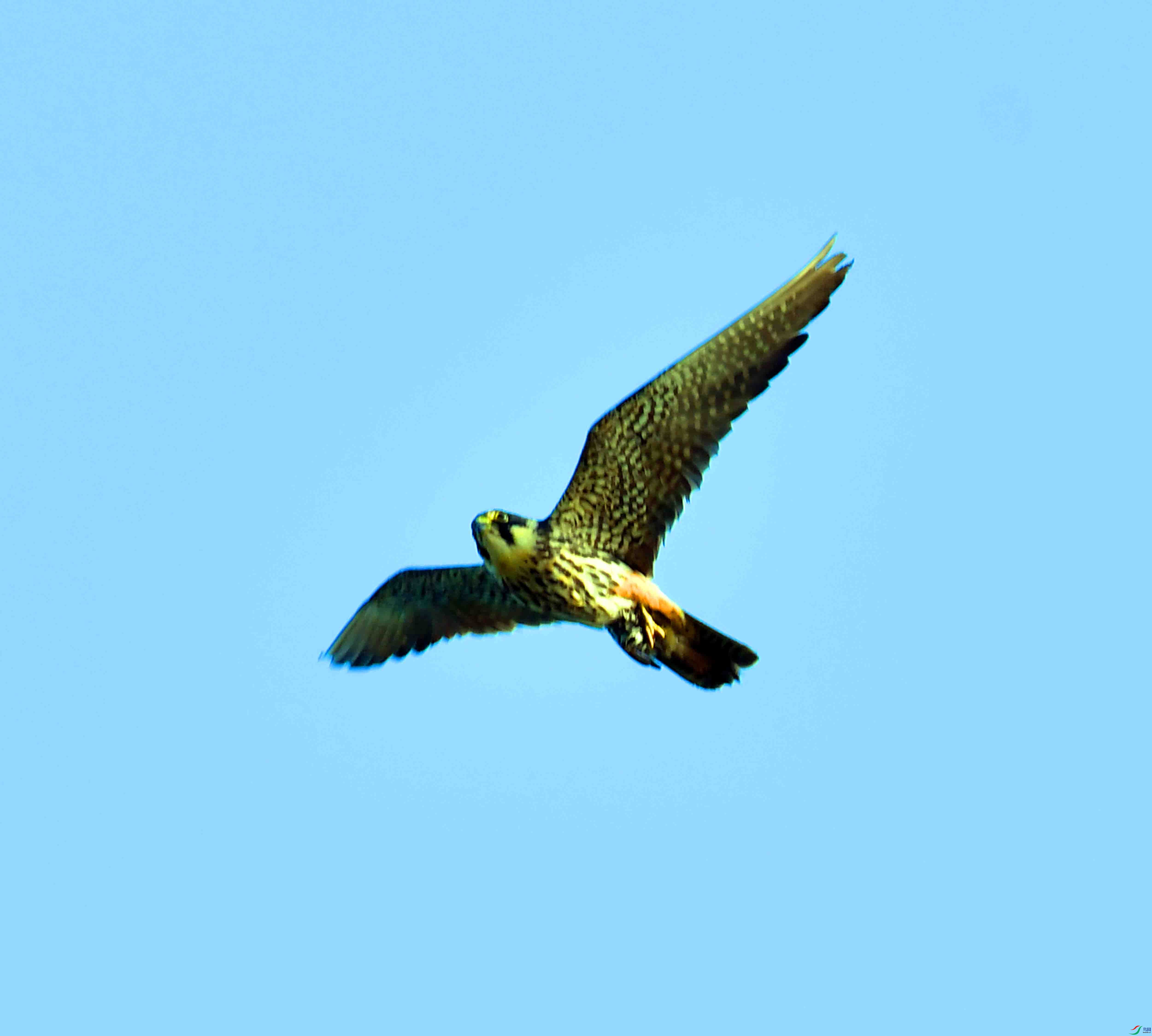 DSC_0293.JPG
