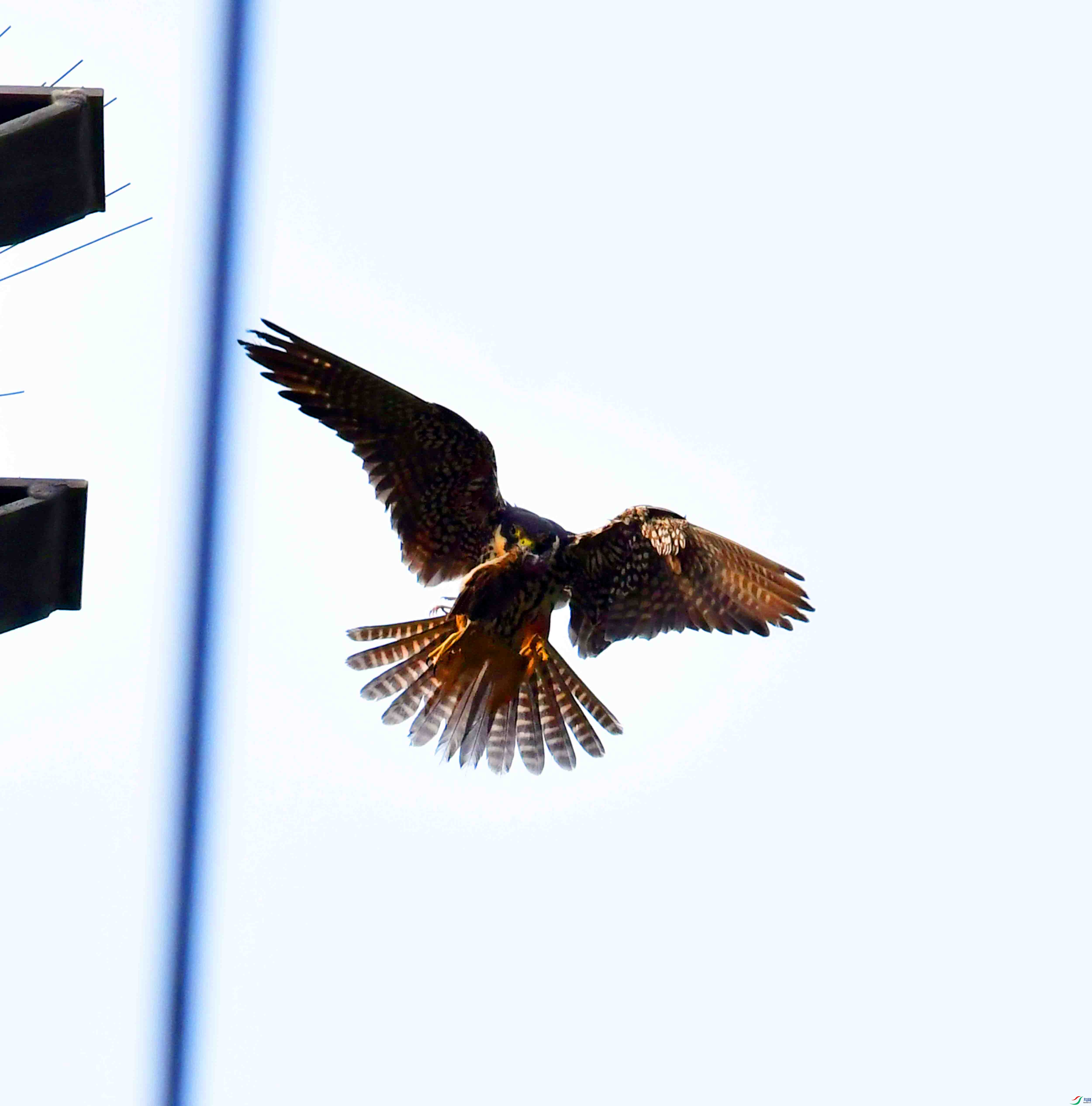 DSC_0326.JPG