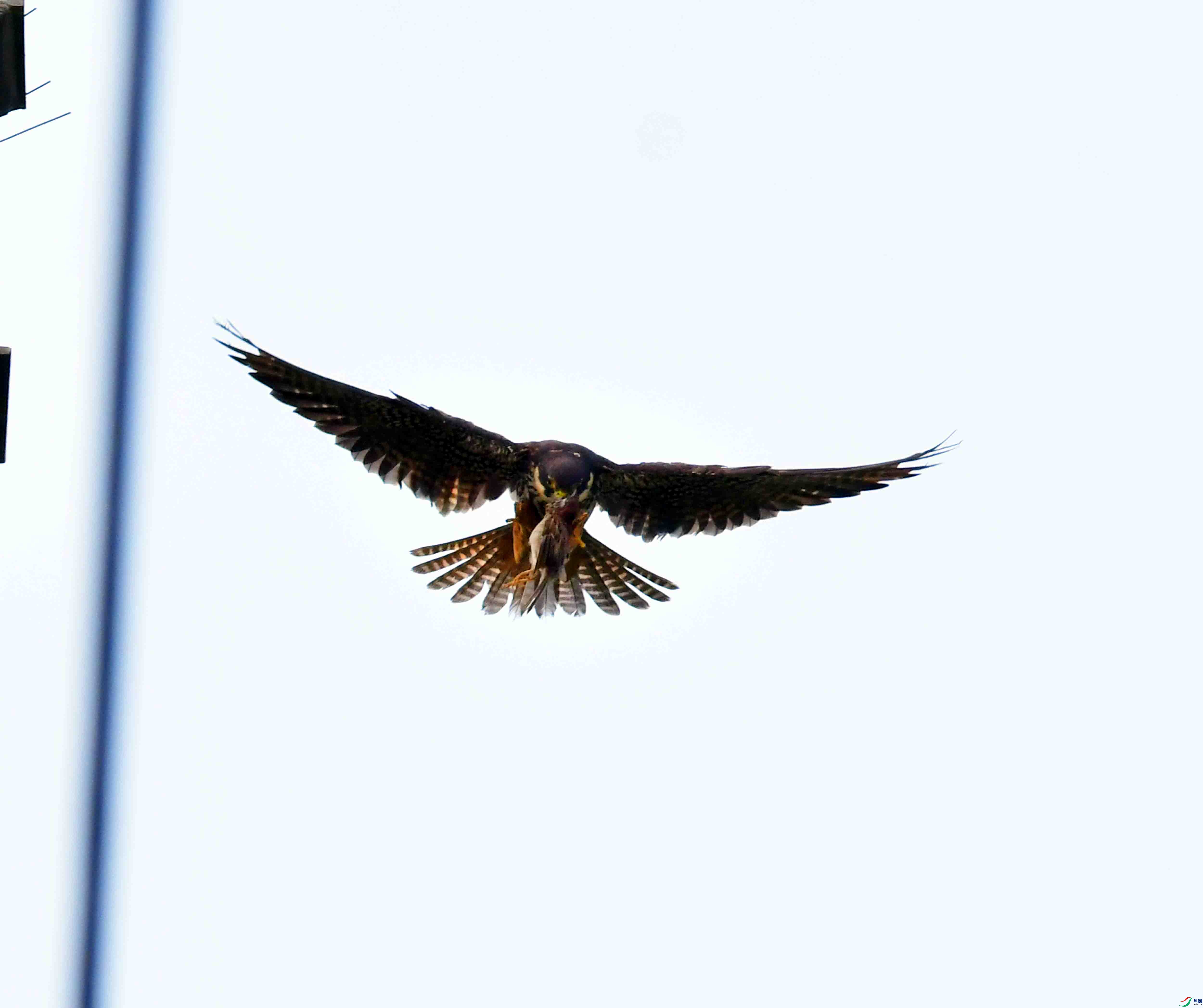 DSC_0327.JPG
