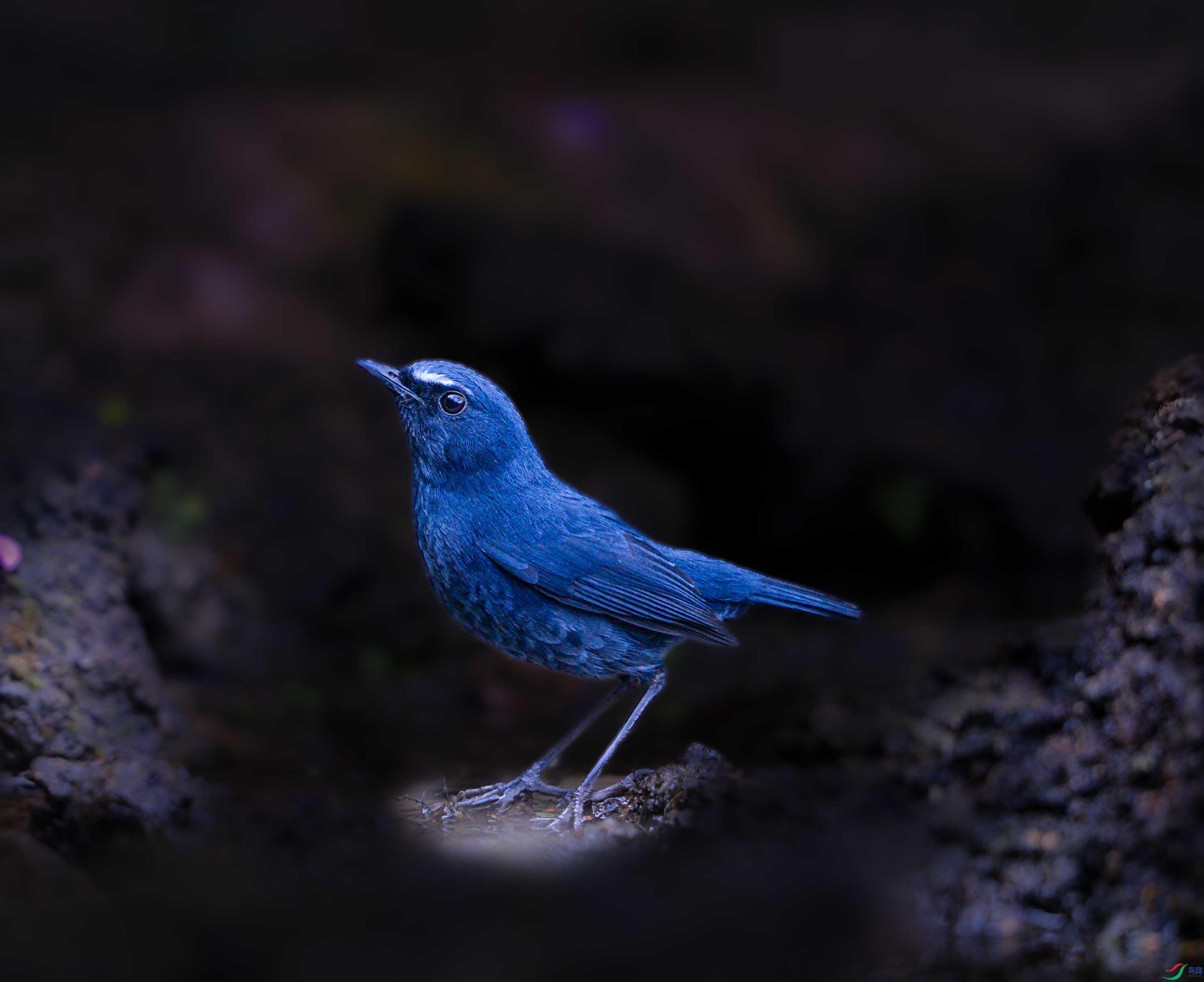 DSC_3836_���ٿ�ͼ(1)-�ָ���.jpg