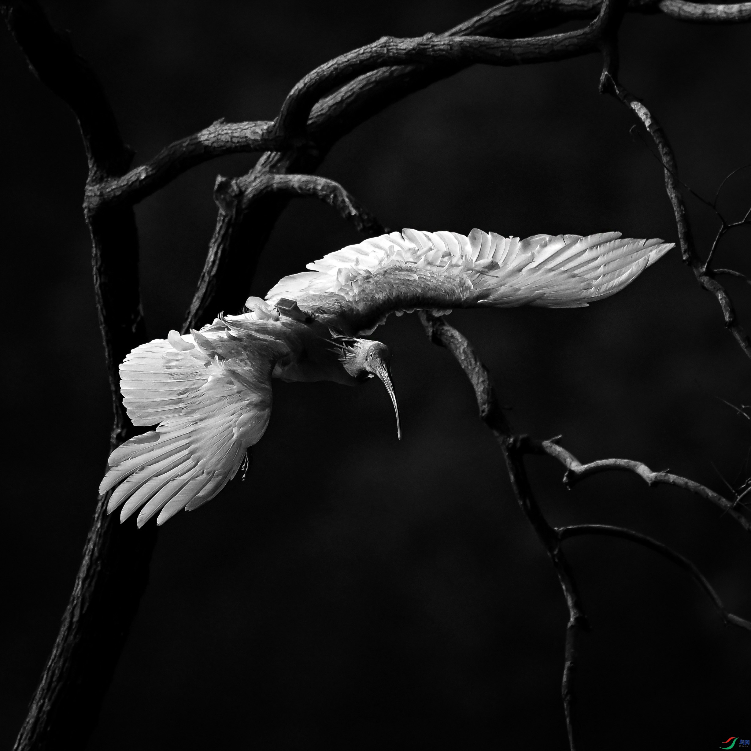 DSC_9024.jpg