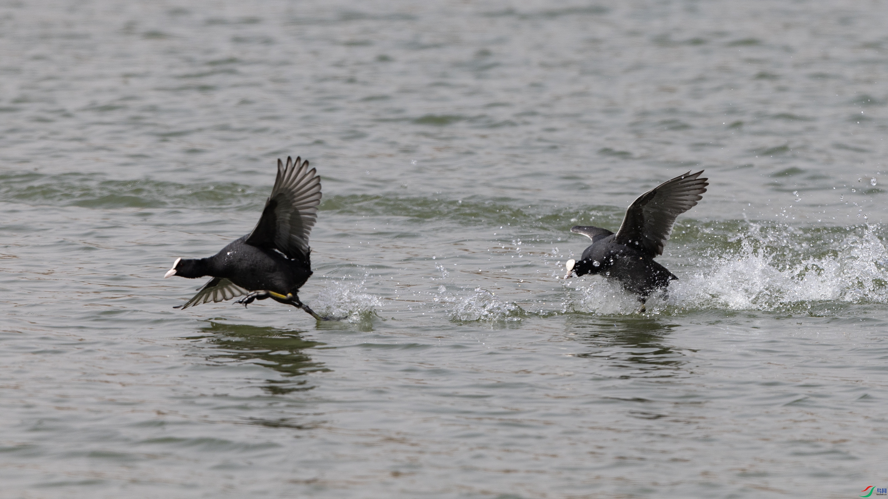 _O7A9625 ����4444.jpg