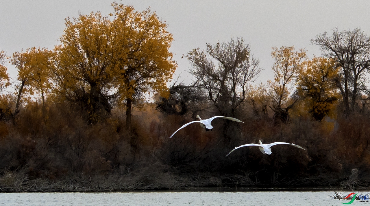 _DSC5706.jpg