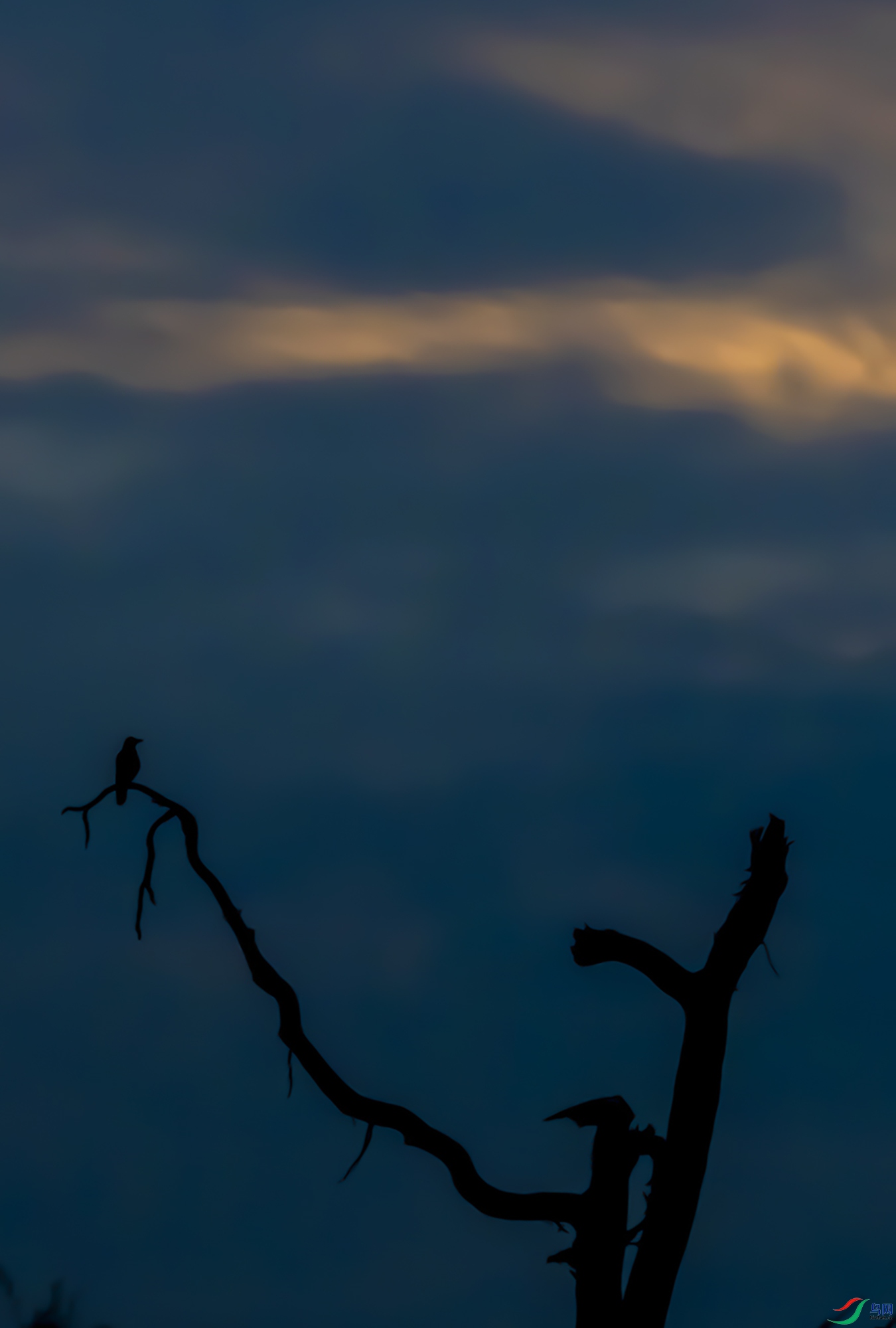 _DSC5864.jpg