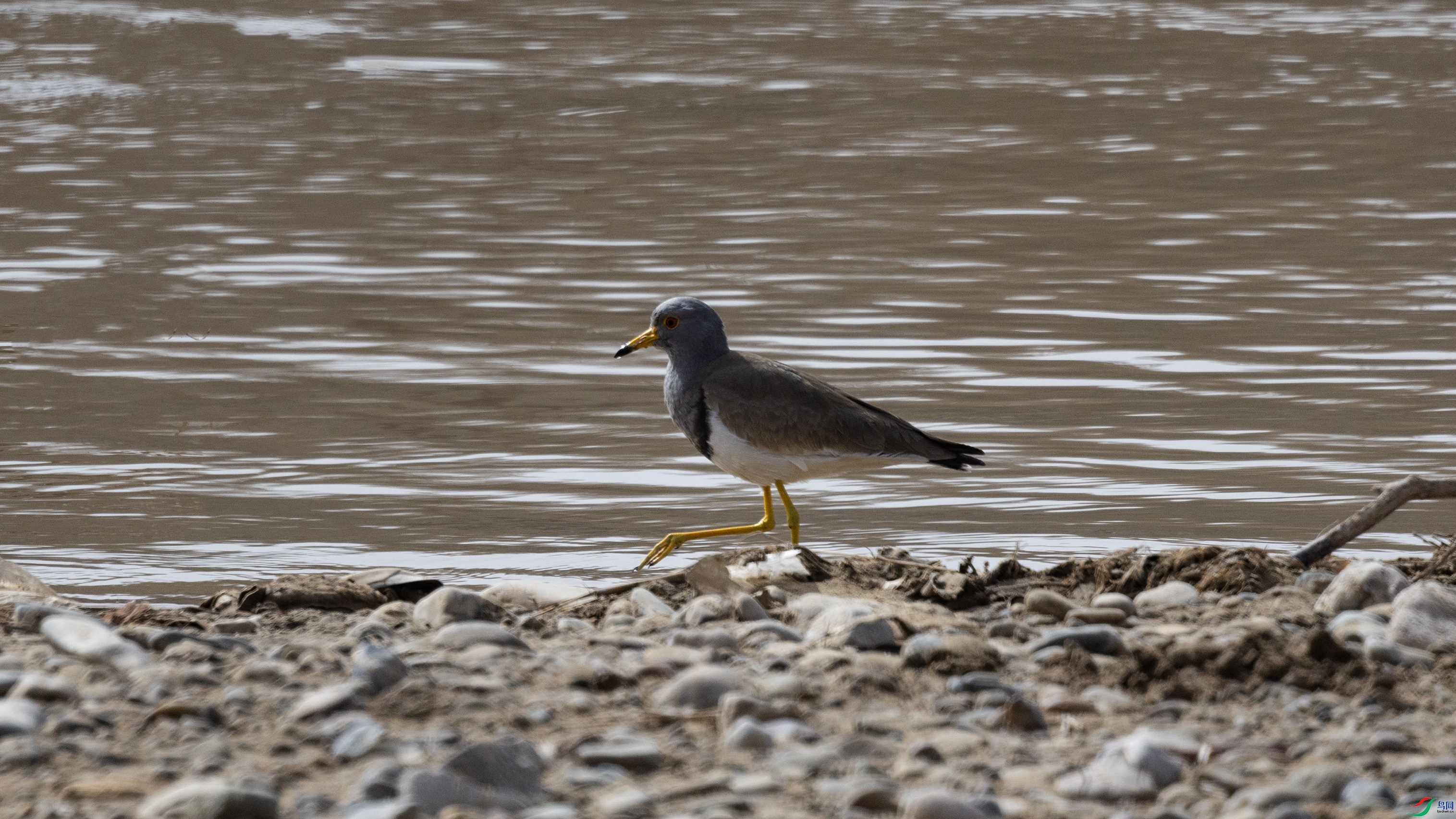 7X5A3243 ����44444.jpg