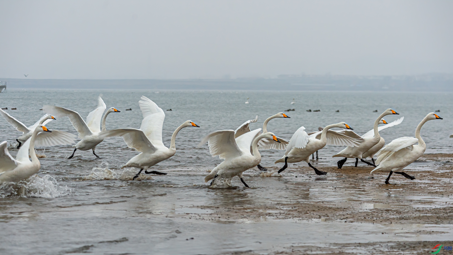 _DSC3276-11.jpg