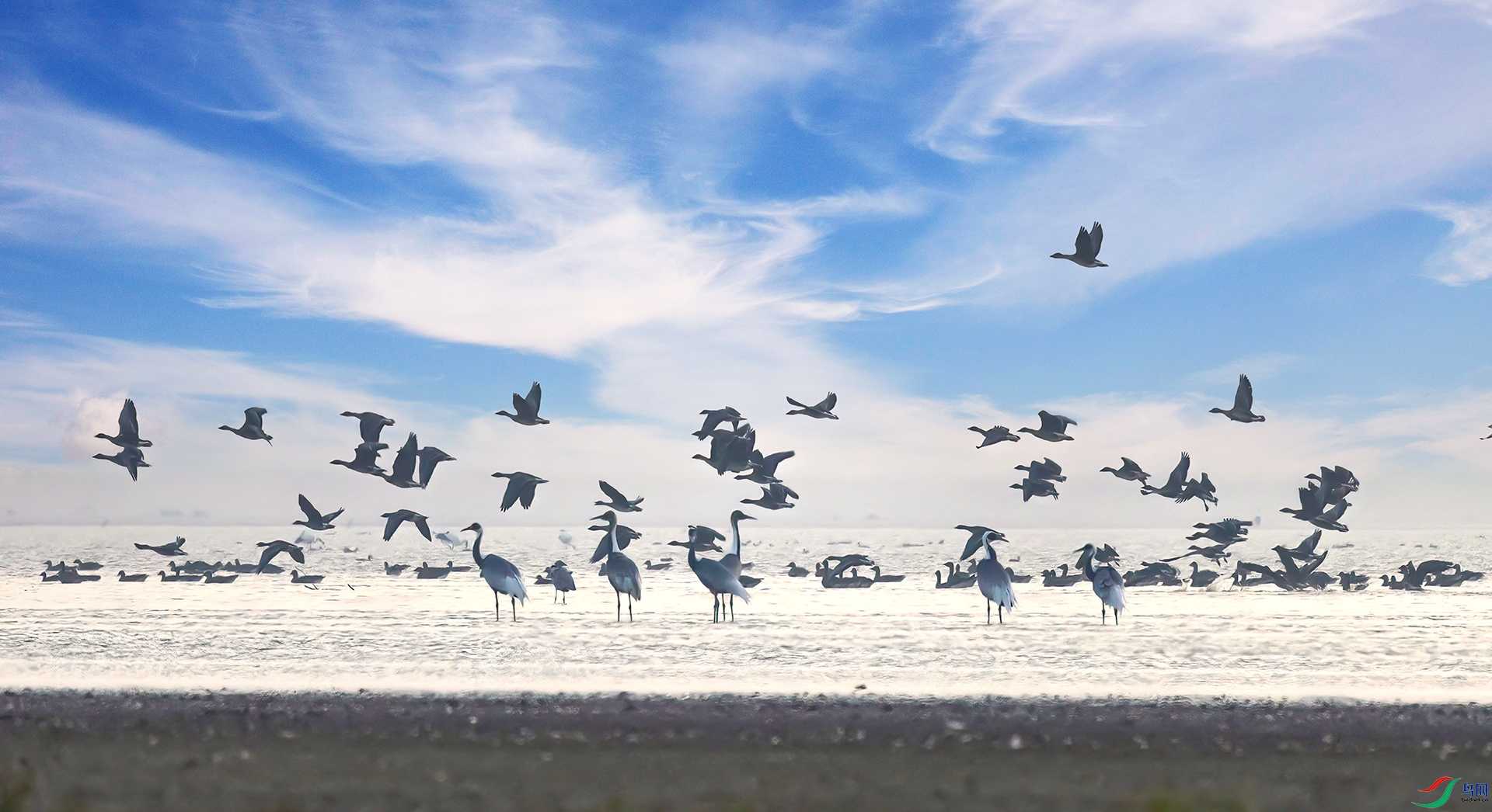 407A0064 ����-Sh----1 .jpg