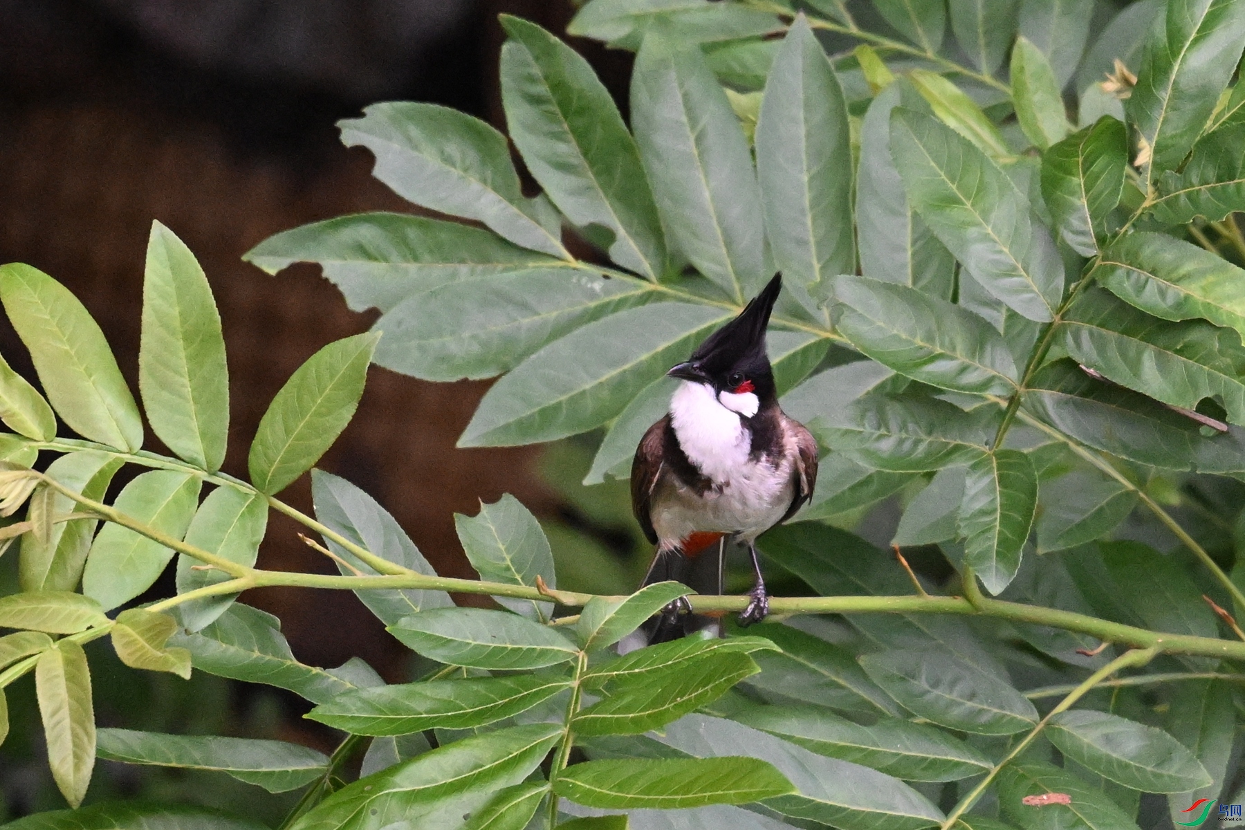 DSC_5600.JPG