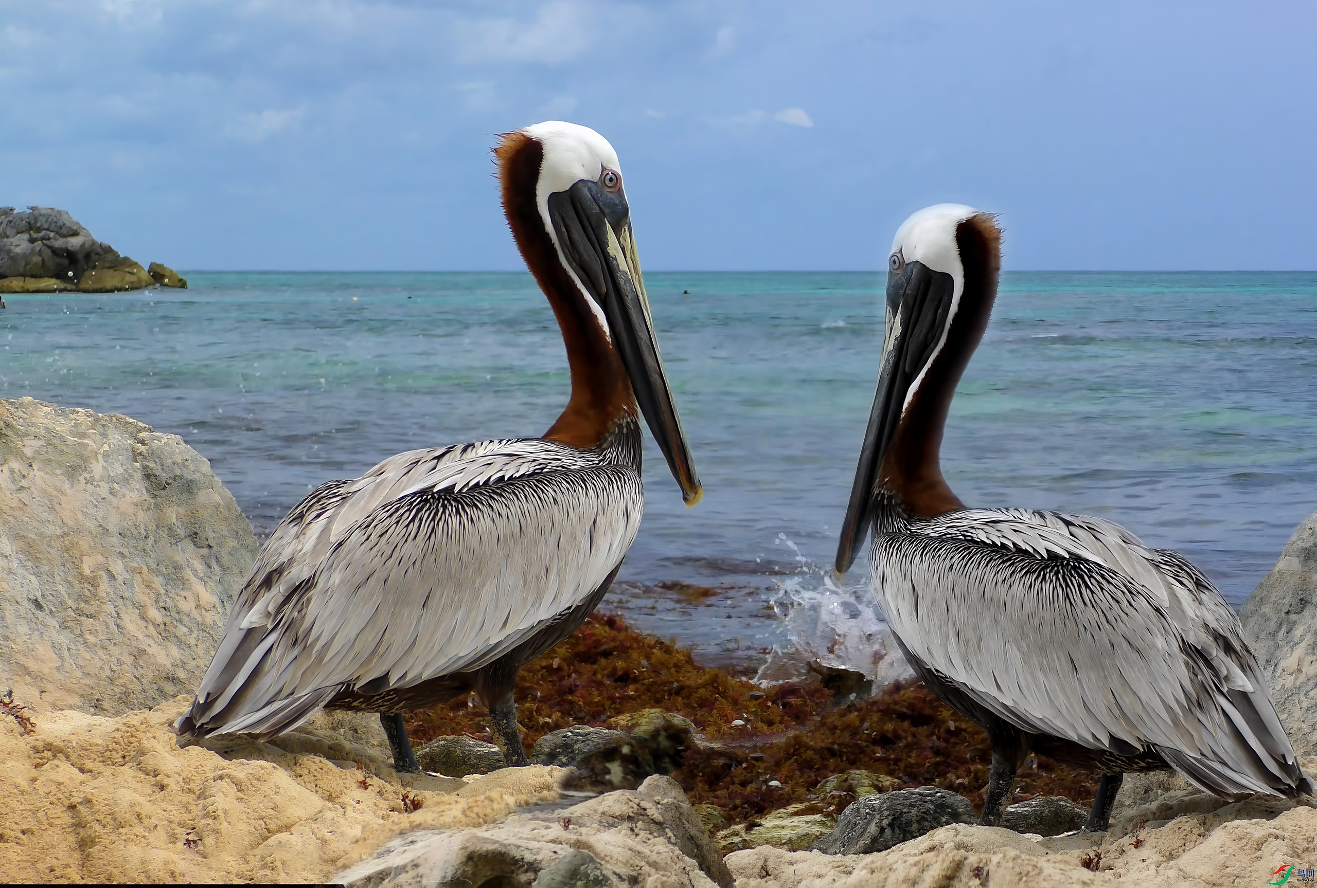 ��³���� 