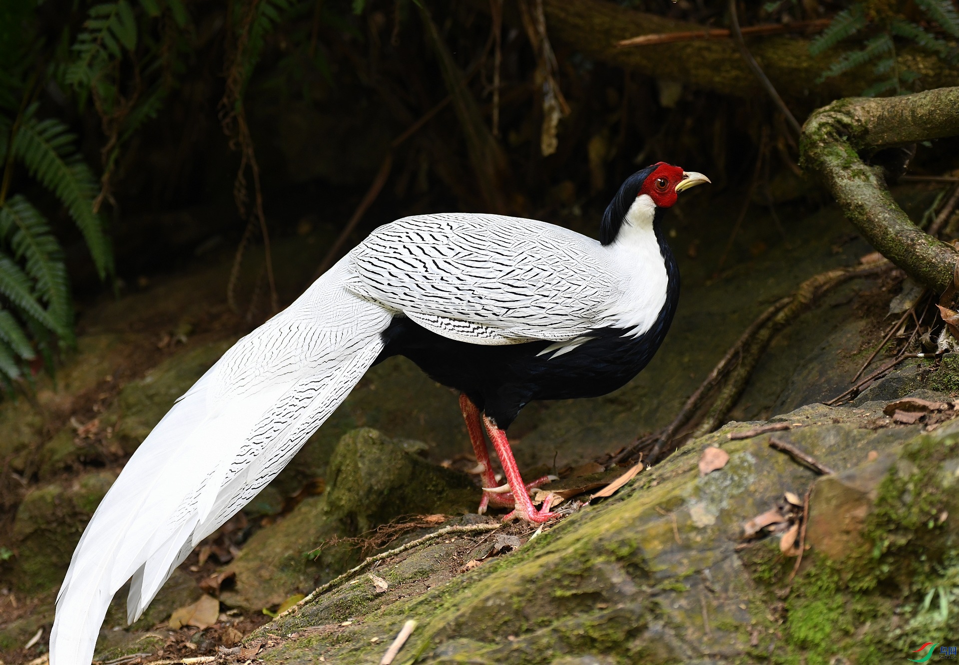 DSC_6919.jpg