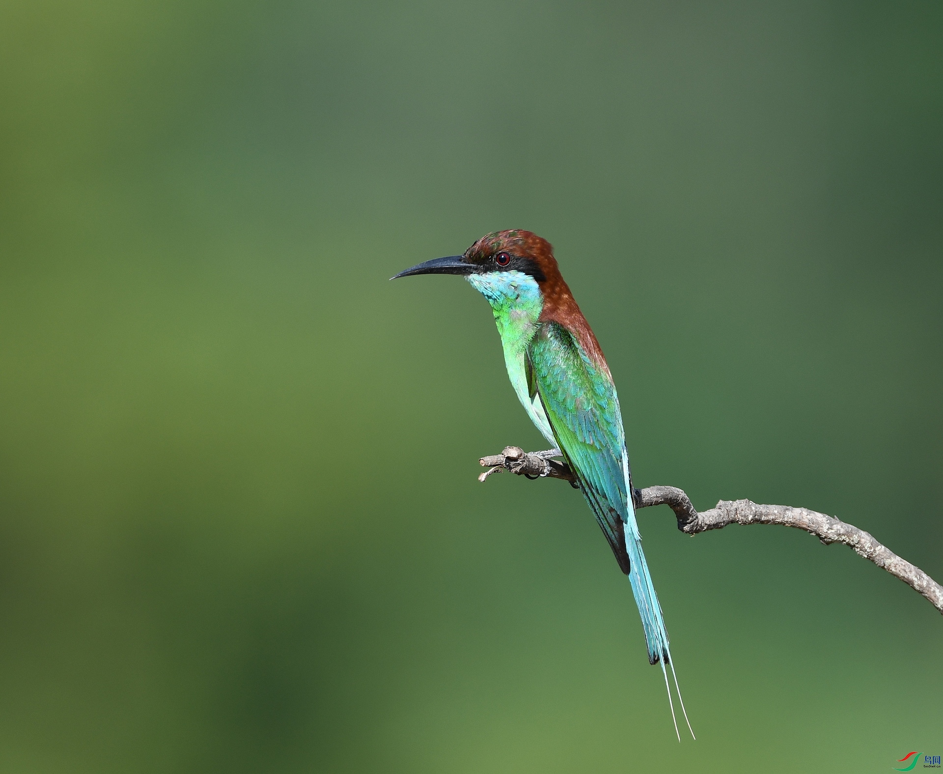 DSC_6930.jpg