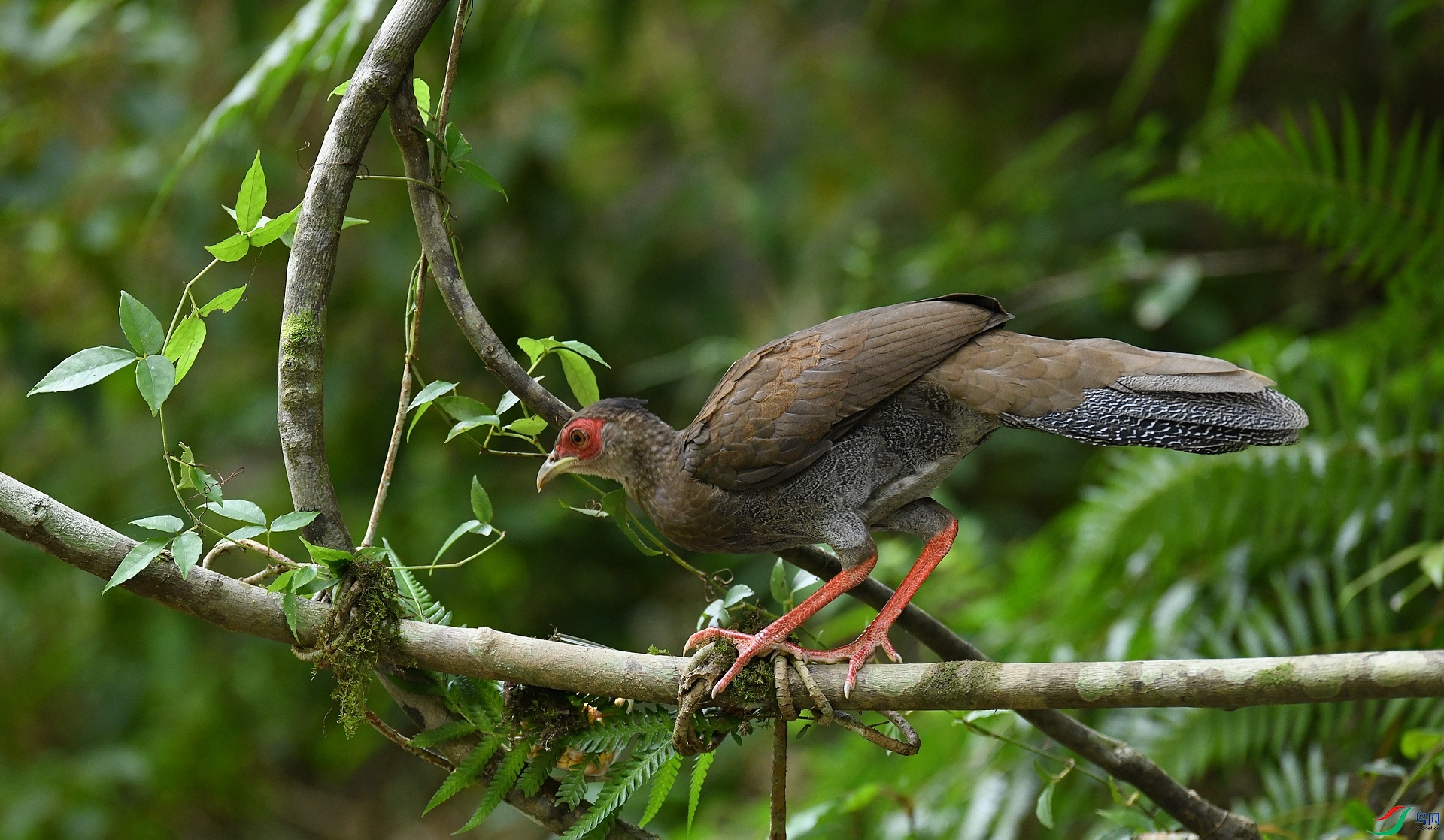 DSC_6964.jpg