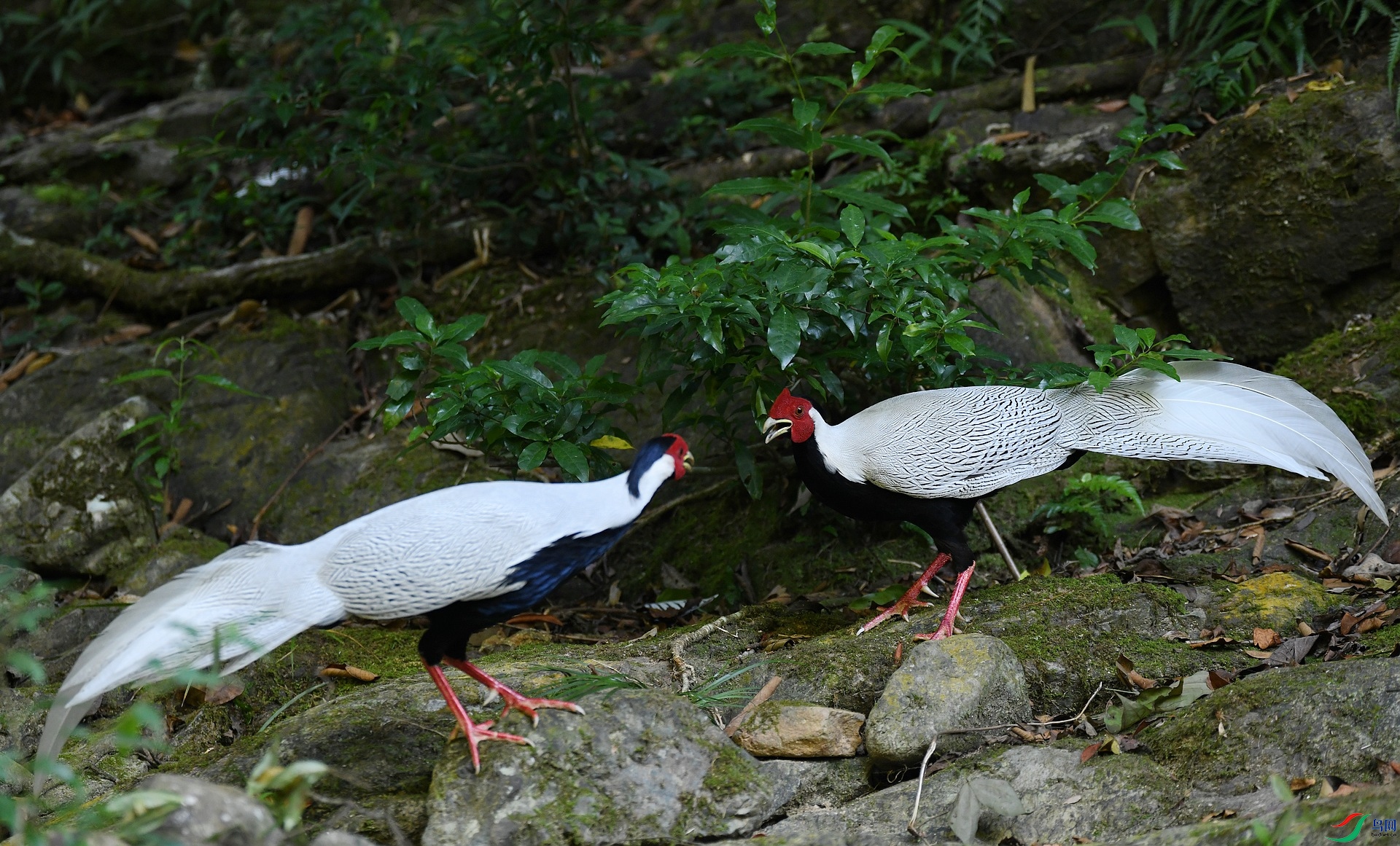 DSC_8056.jpg