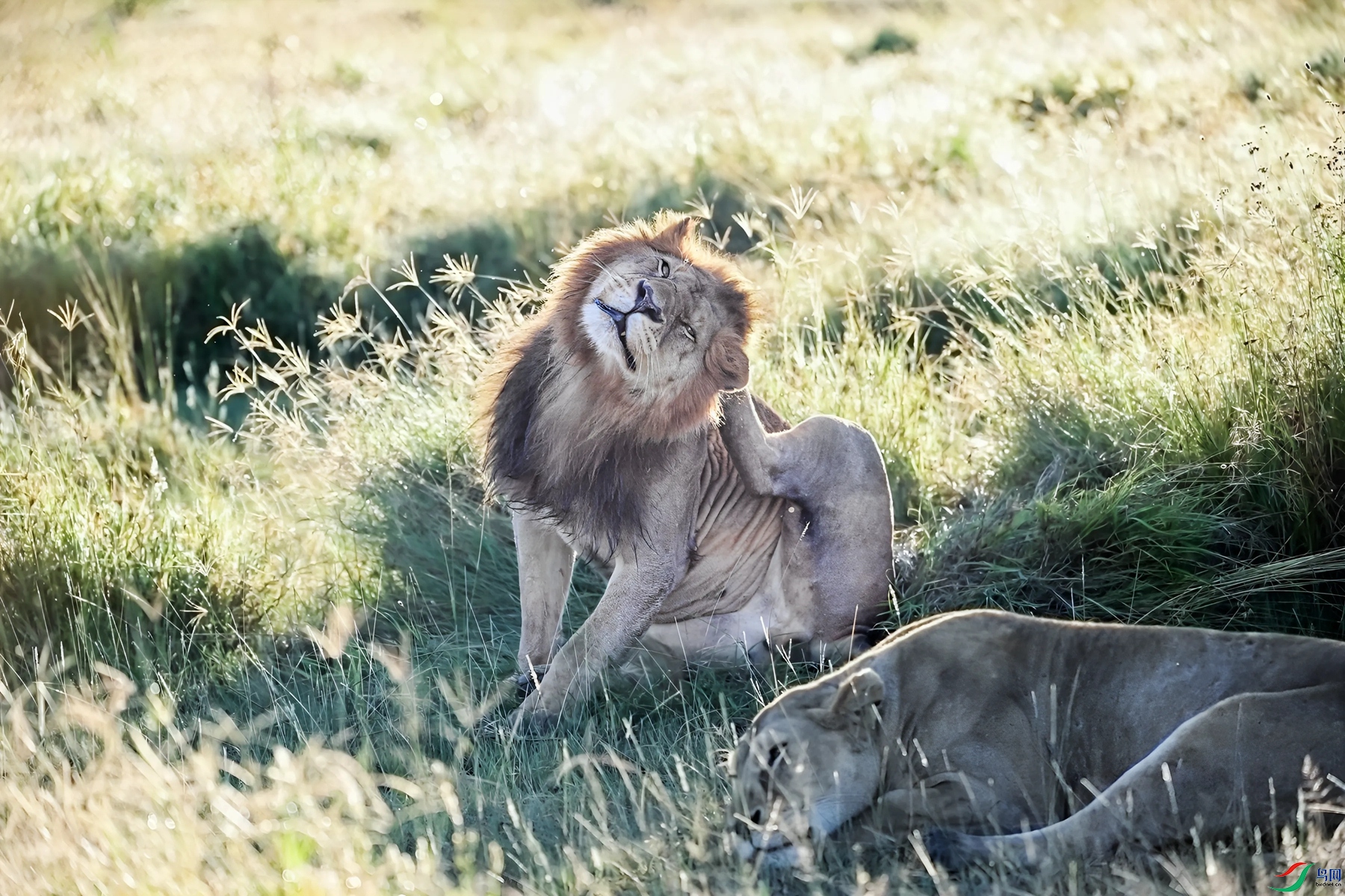 DSC_3677_����.jpg�������_����_����_����.jpg