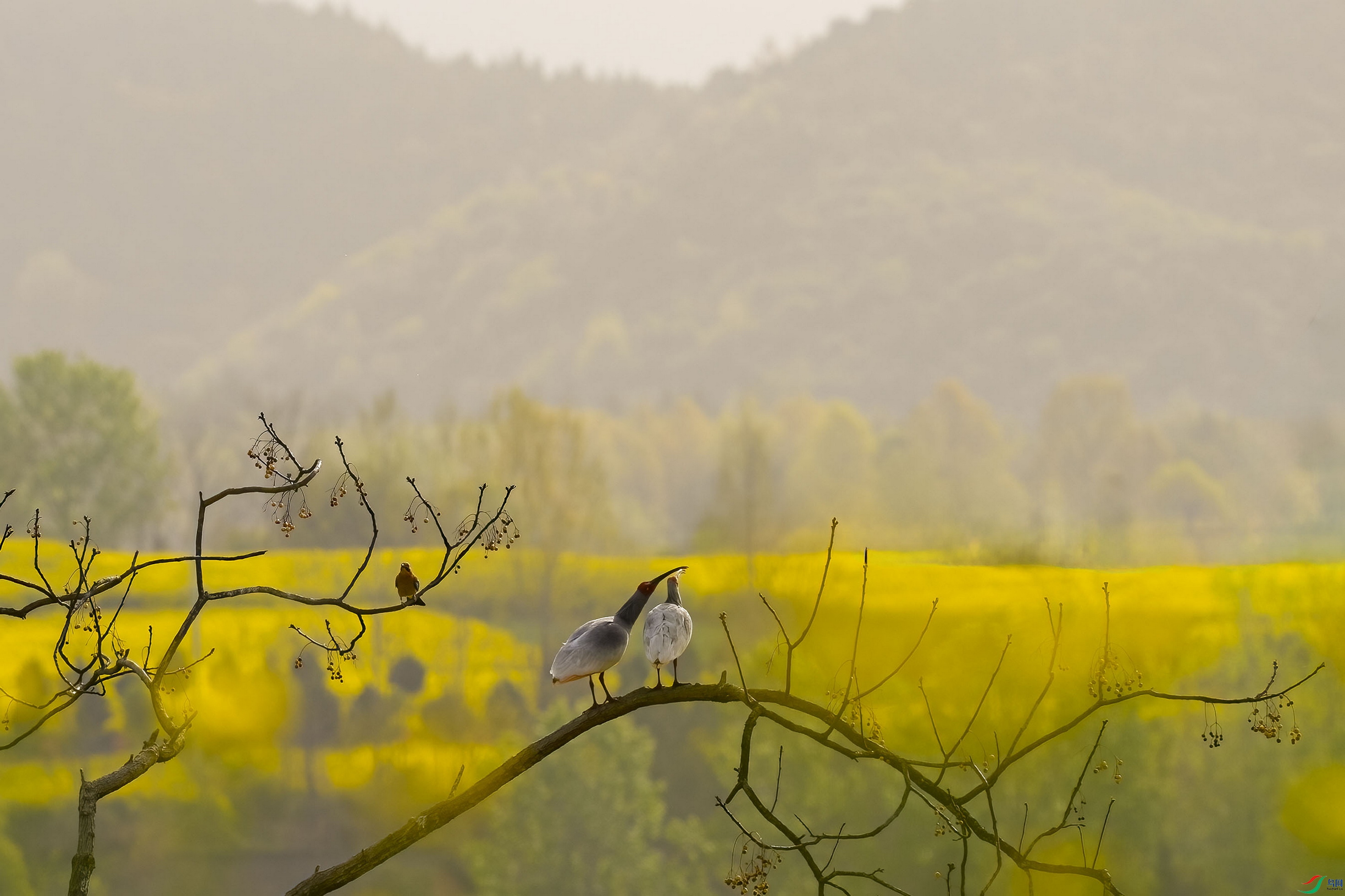 _DSC5379 ����F001.jpg