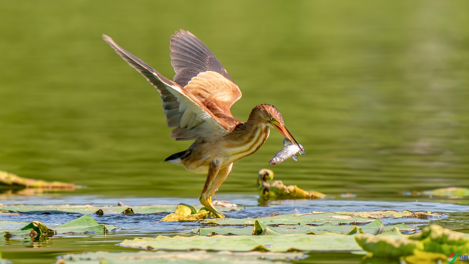 9.7����������ʦ��Ʒ  �������֣�ף���ٻ����������.jpg