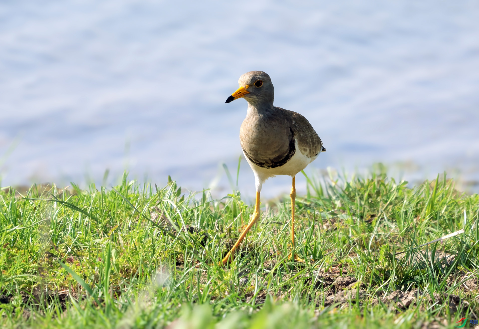 DSC07012 ����.jpg