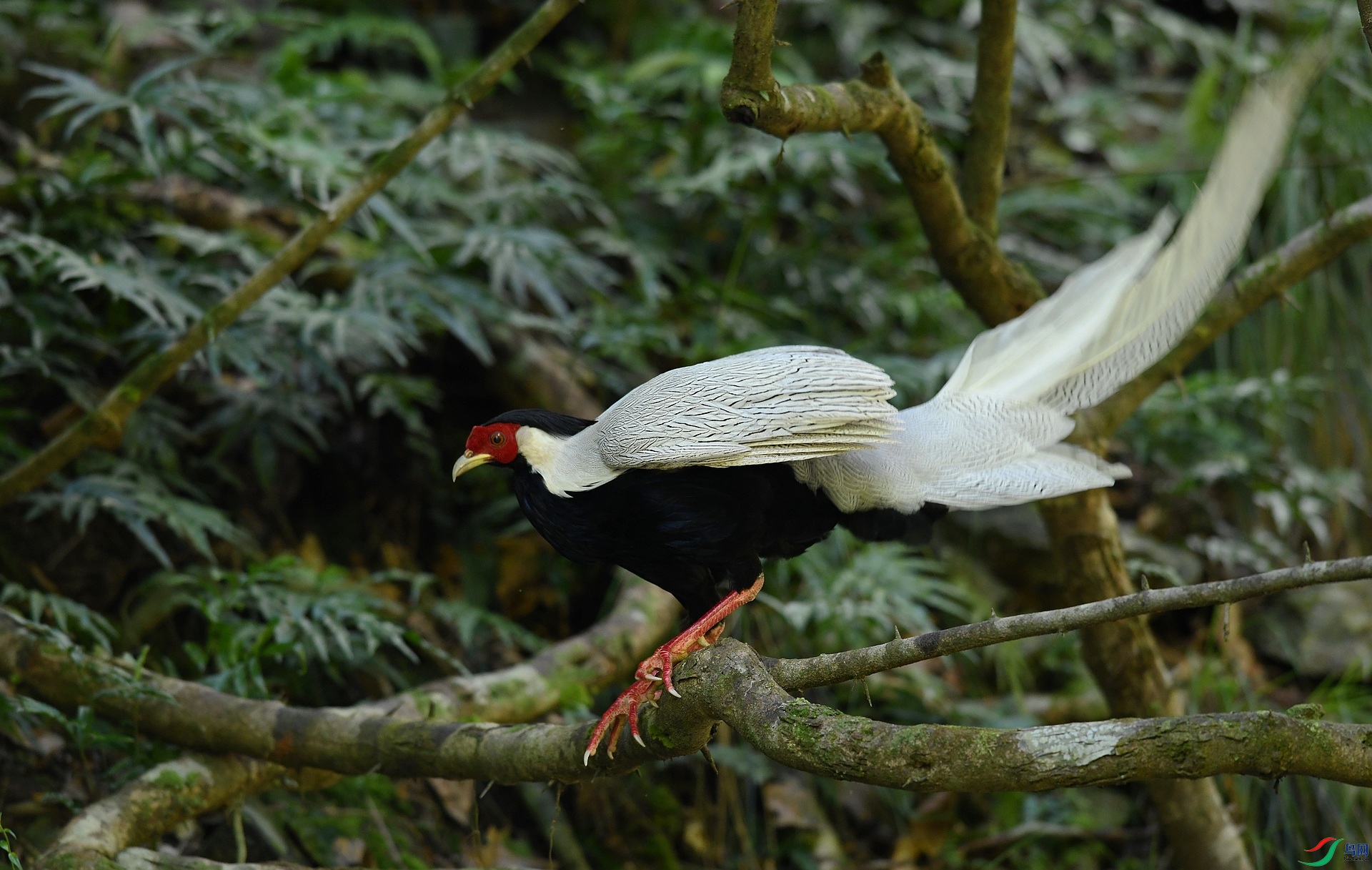 DSC_0129.jpg