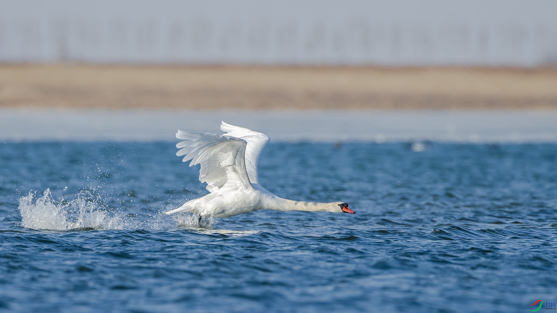 DSC_0535_��ͼ��.jpg
