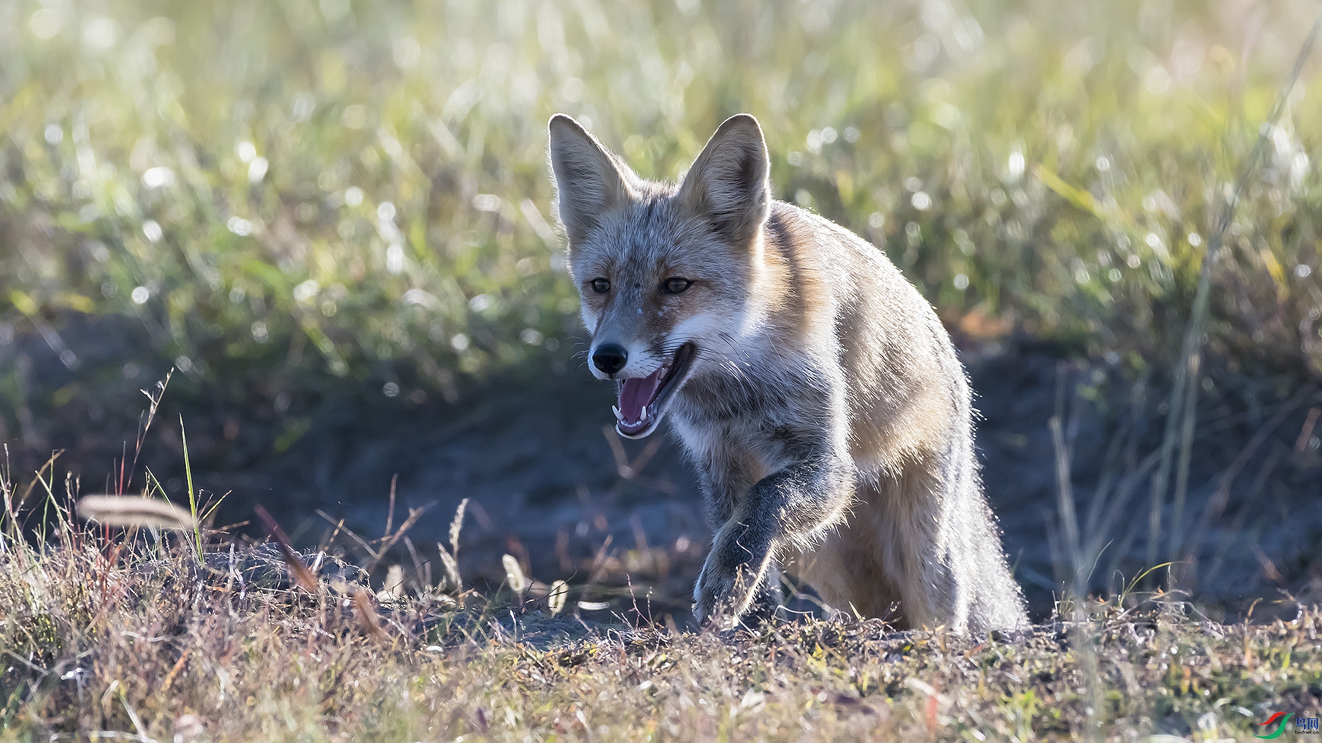 DSC_3749_��ͼ��.jpg