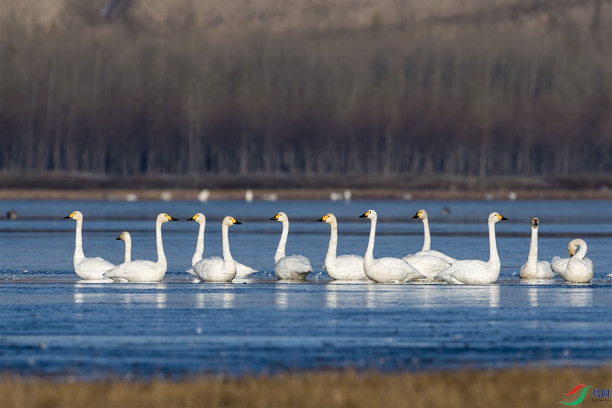 DSC_6617_��ͼ��.jpg