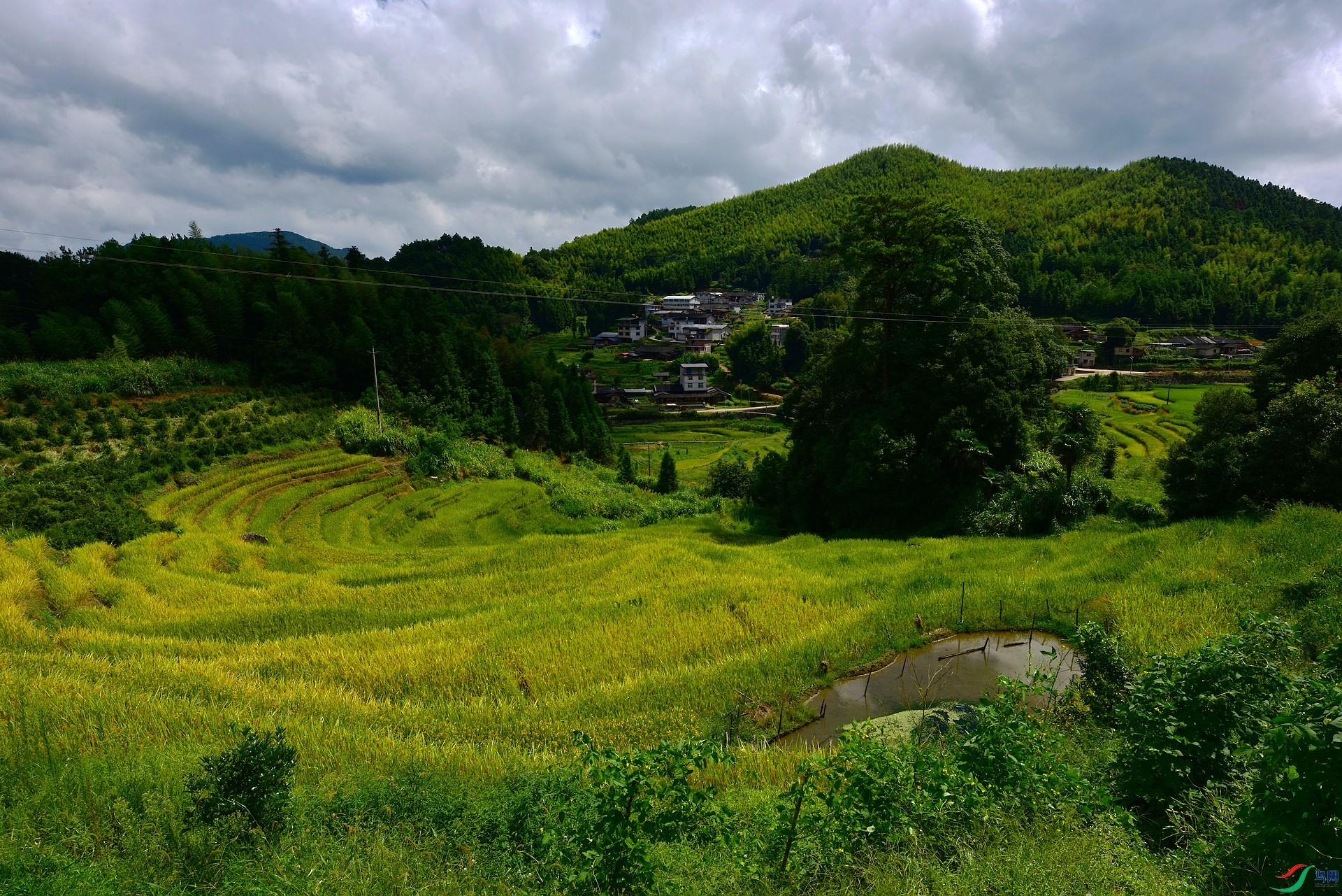 D8I_5763.jpg
