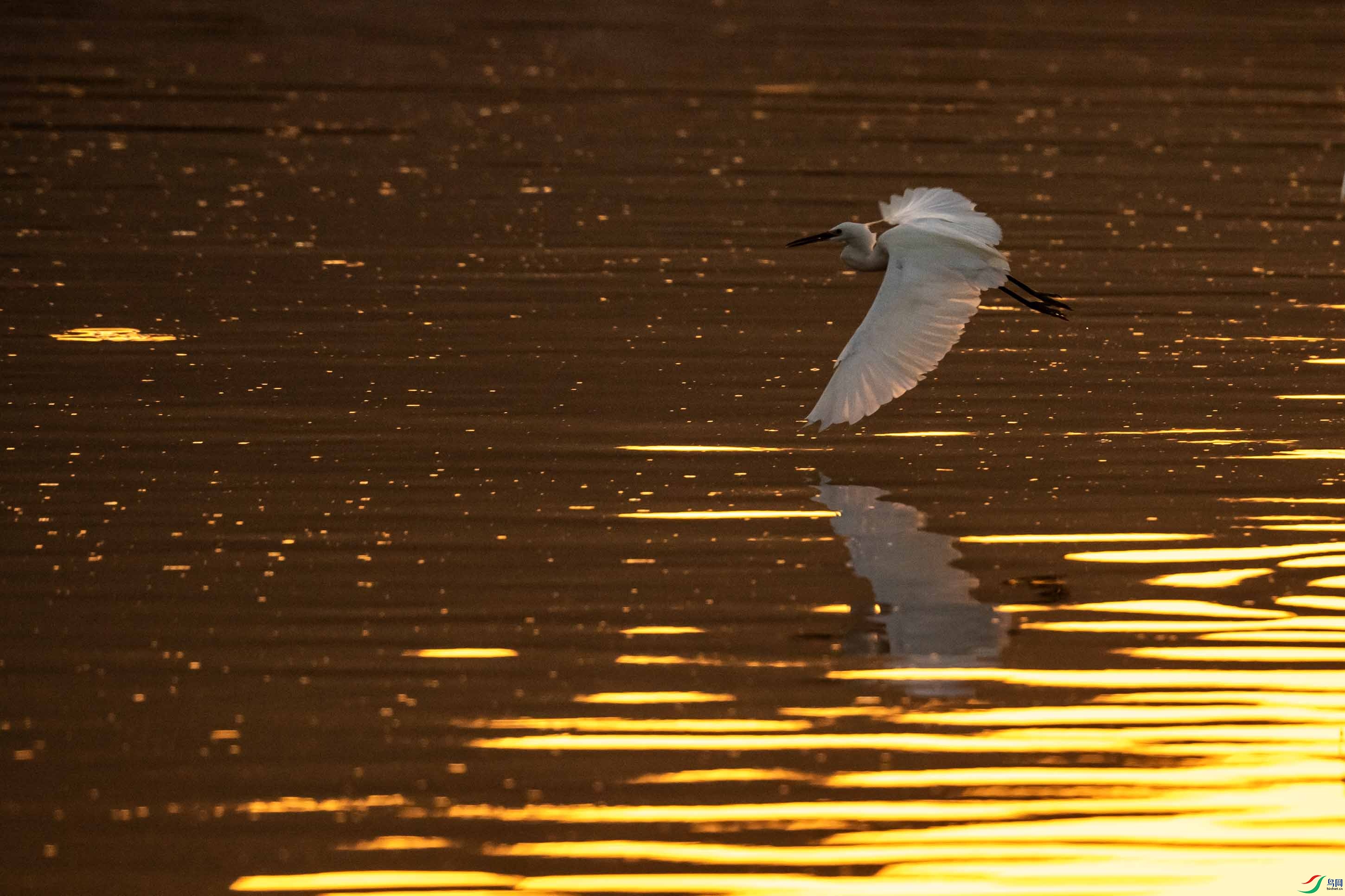 _DSC1841 ����.jpg