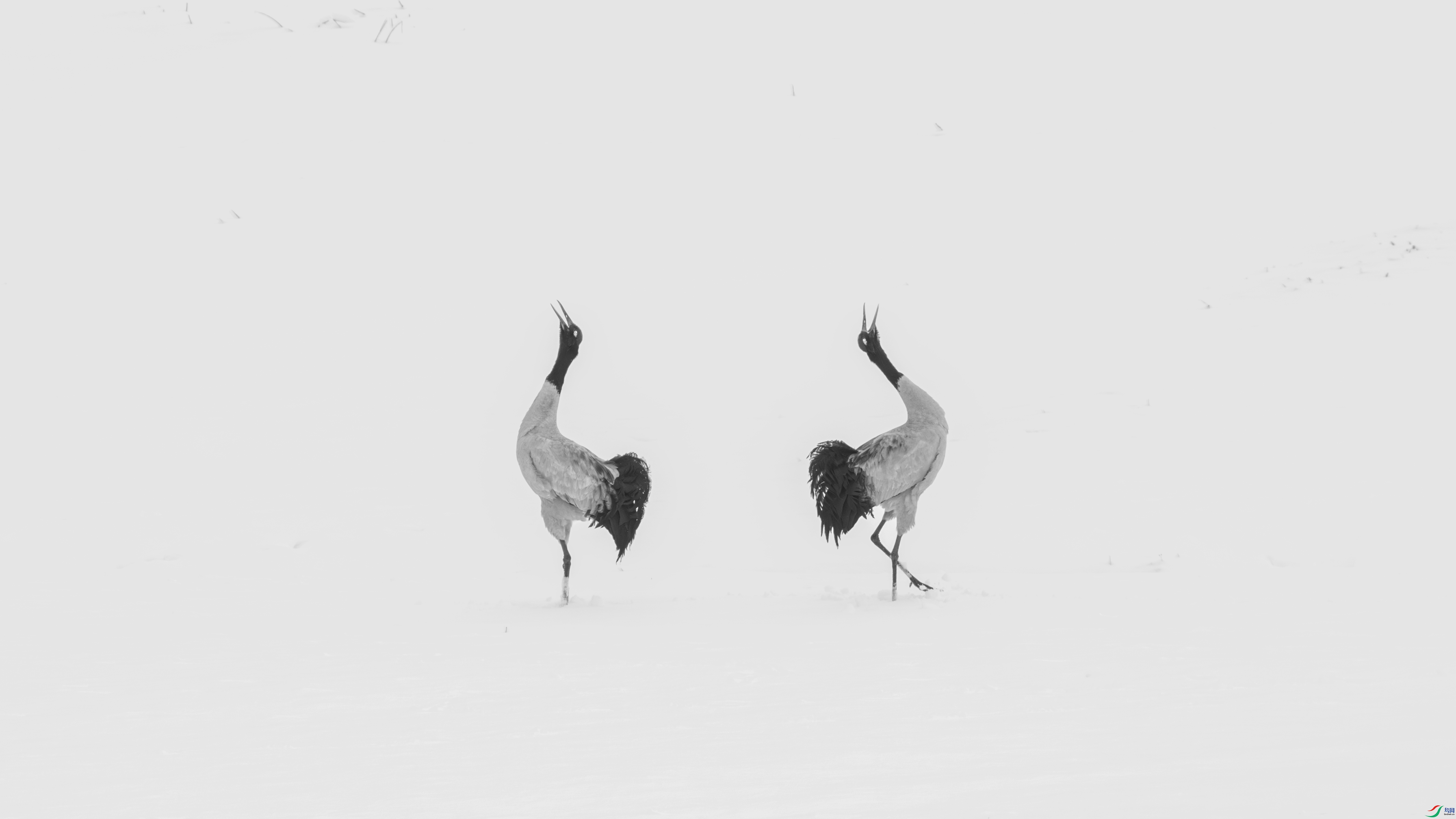 TZC_7313-����ǿ-NR-3.jpg