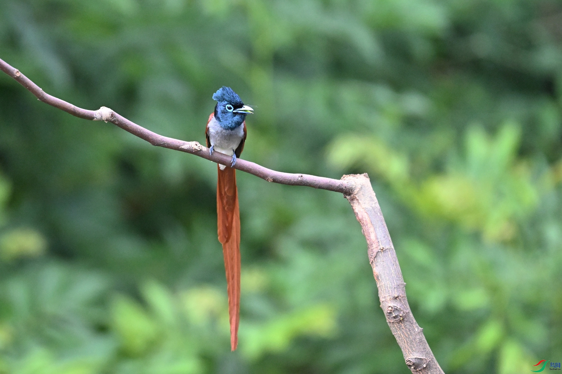 DSC_5575.JPG