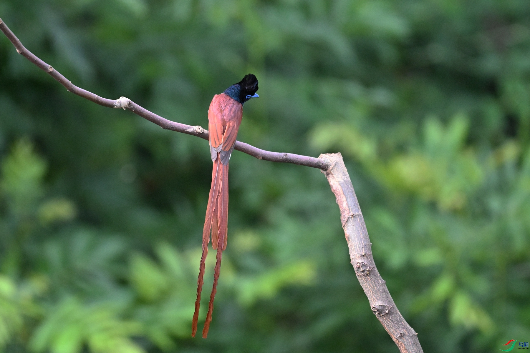 DSC_5621.JPG