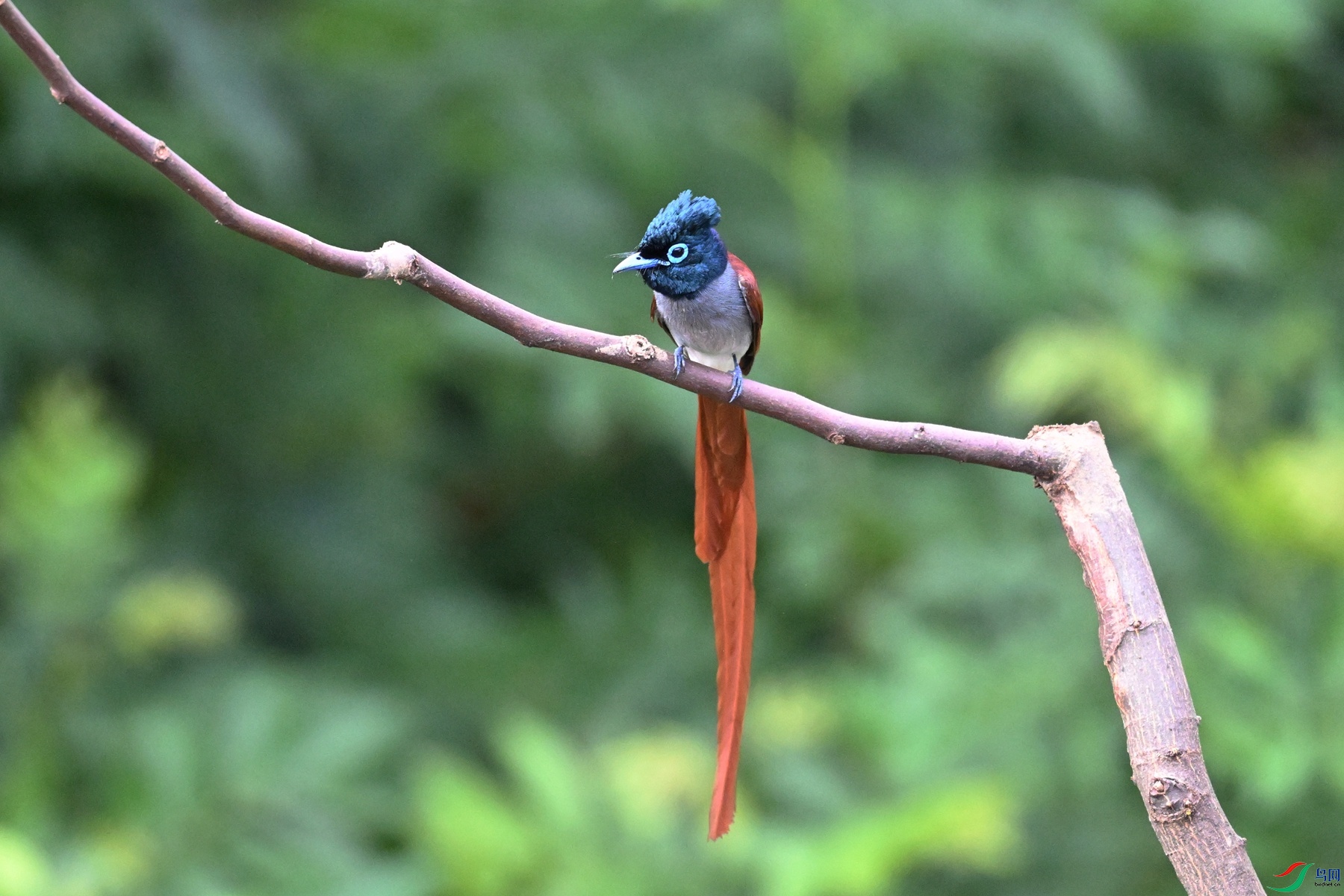DSC_5563.JPG
