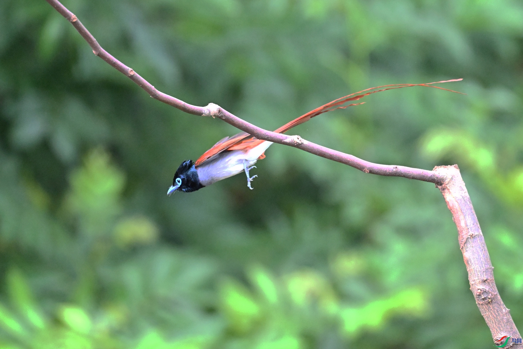 DSC_5579.JPG